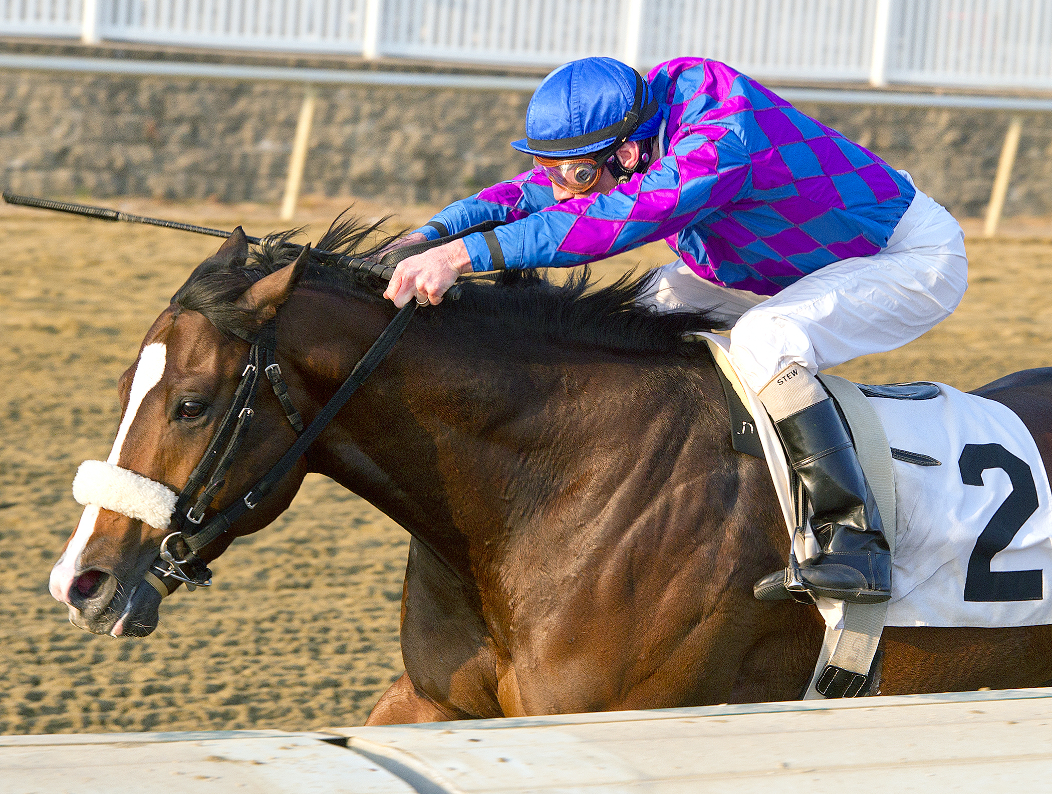 Whiskey Romeo, Marylander Stakes