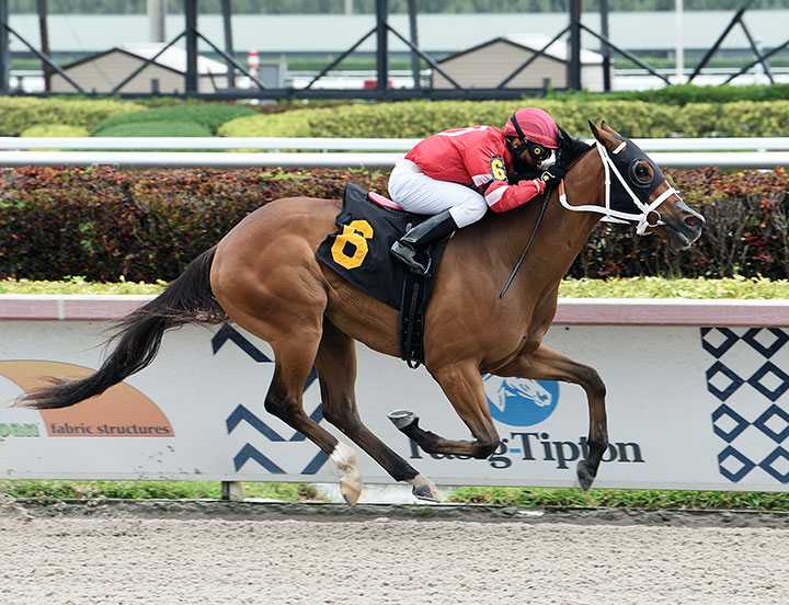 Whiskey Sunrise wins an April 12 maiden race at Gulfstream
