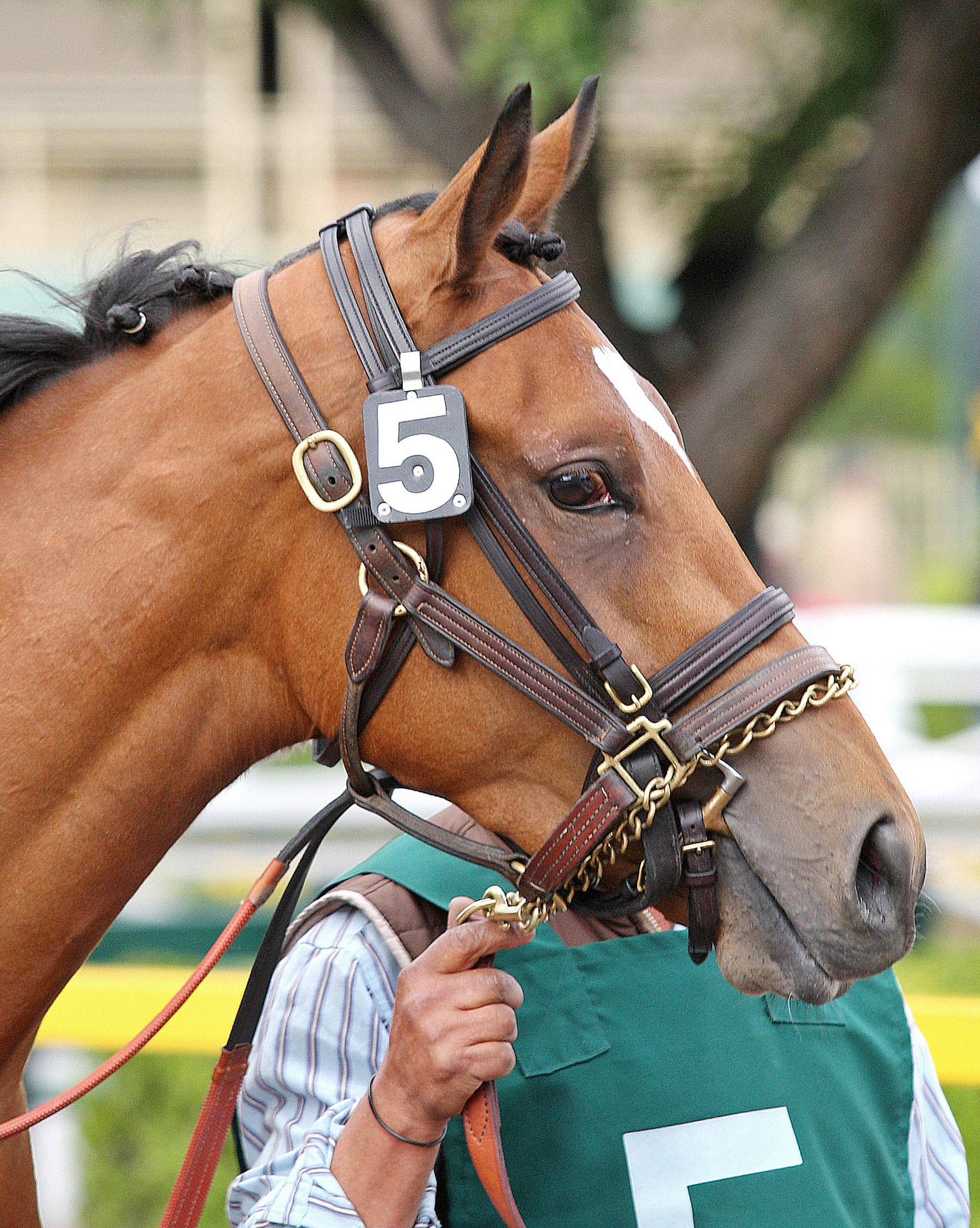 Whisper Louise