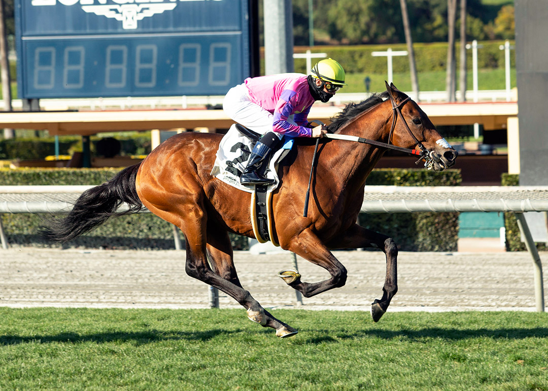 Whisper Not wins a March 6 allowance at Santa Anita Park