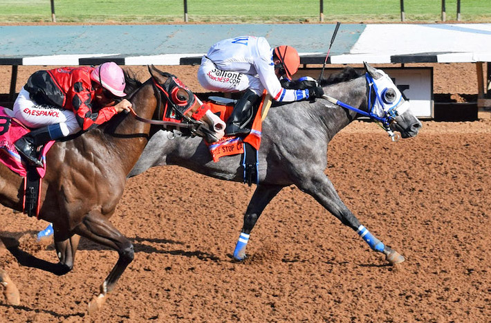 Whistle Stop Cafe wins the 2020 All American Futurity at Ruidoso Downs