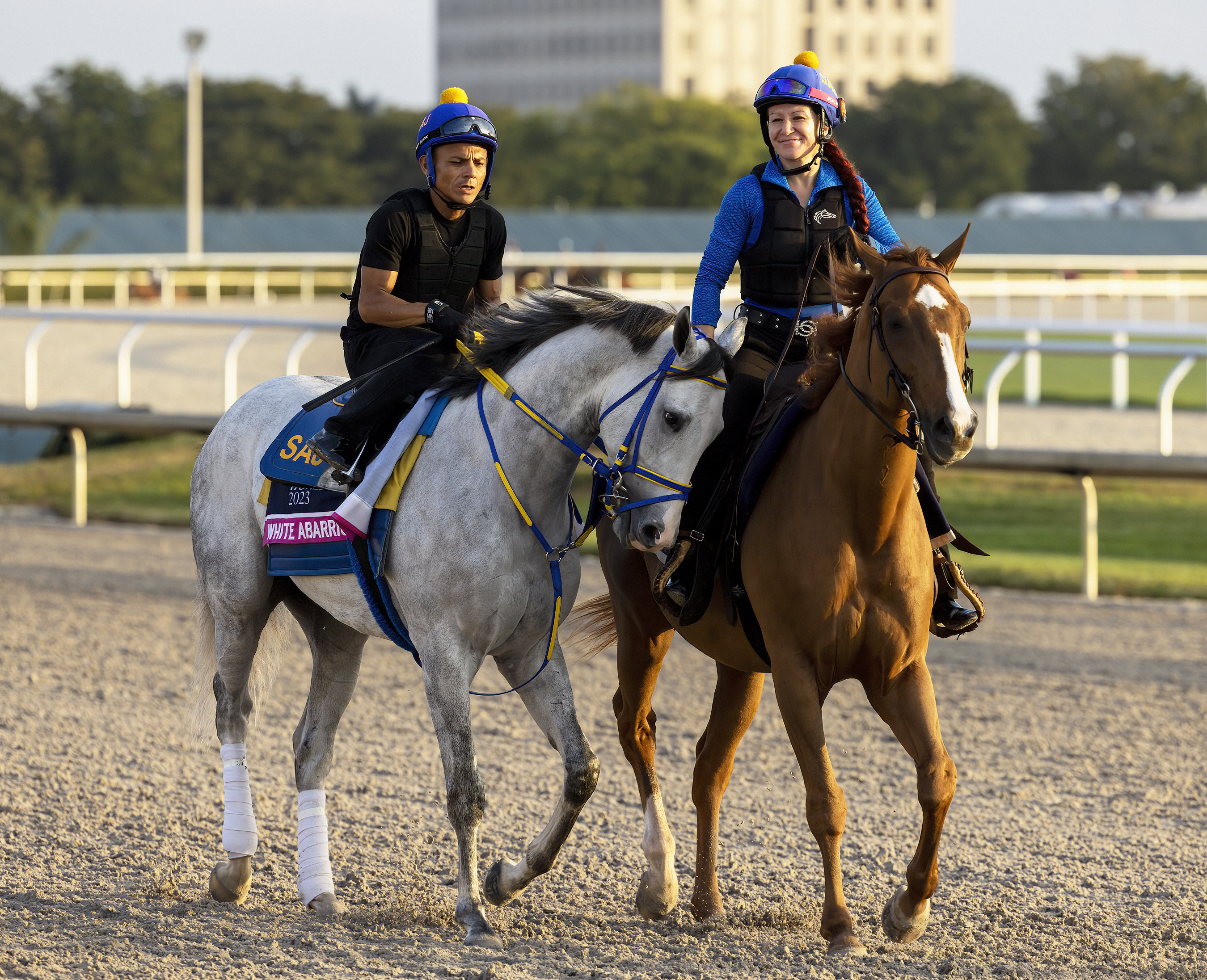 White Abarrio at GP Jan 26 2023