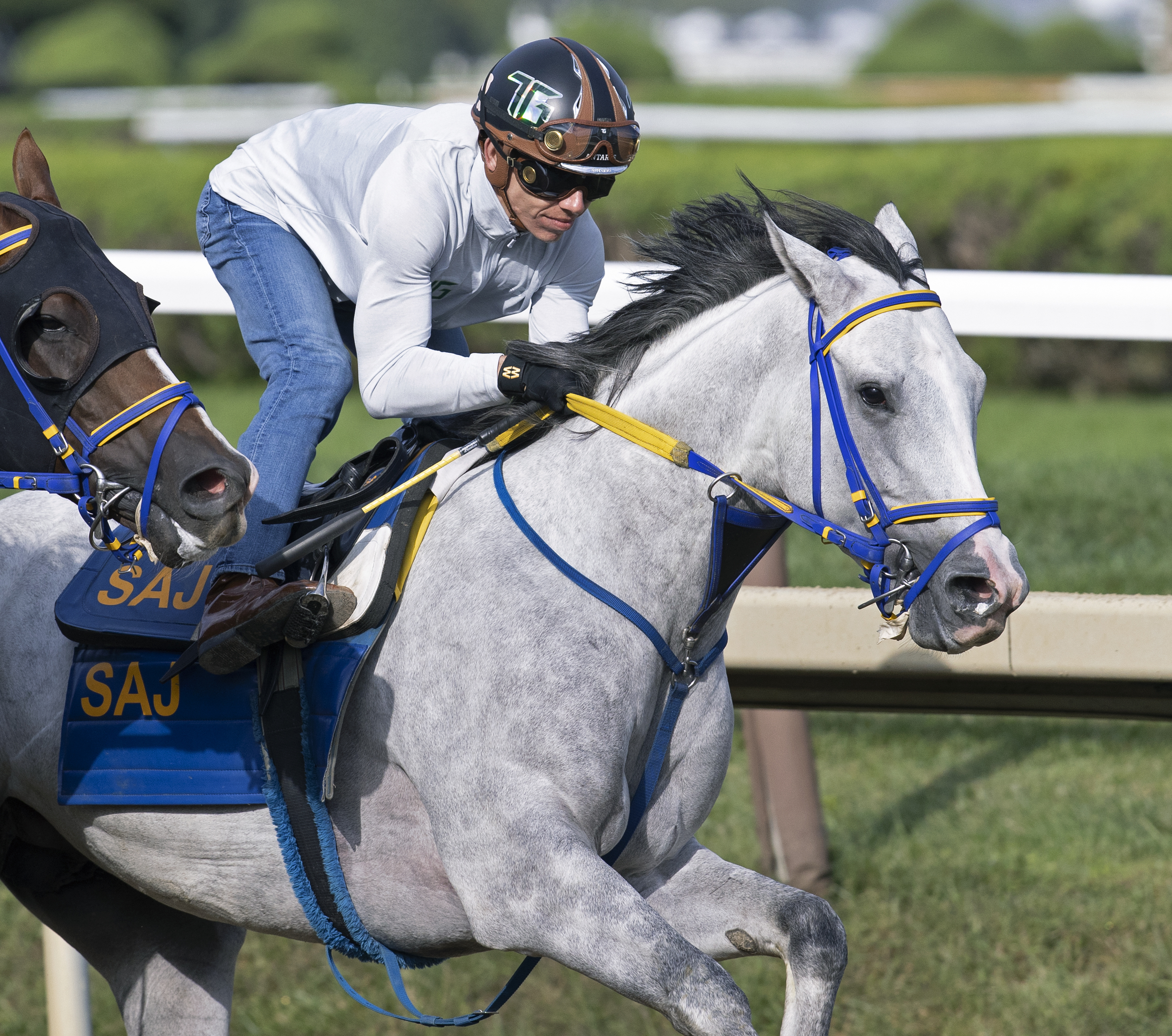 White Abarrio works at Saratoga Aug 28 2022