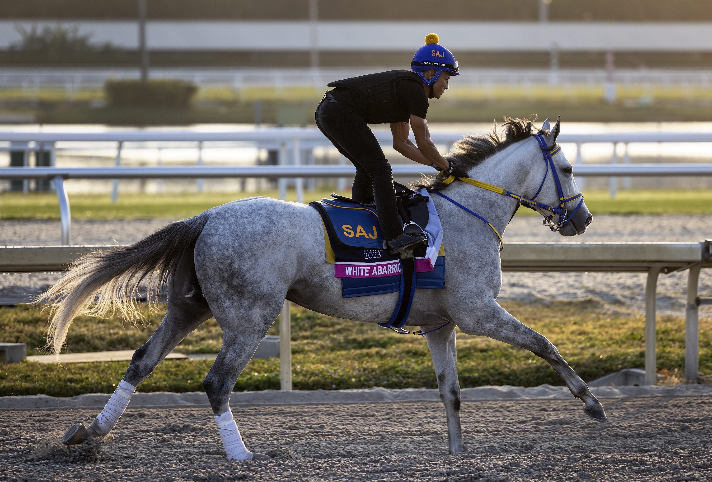 White Abarrio/Jan. 26