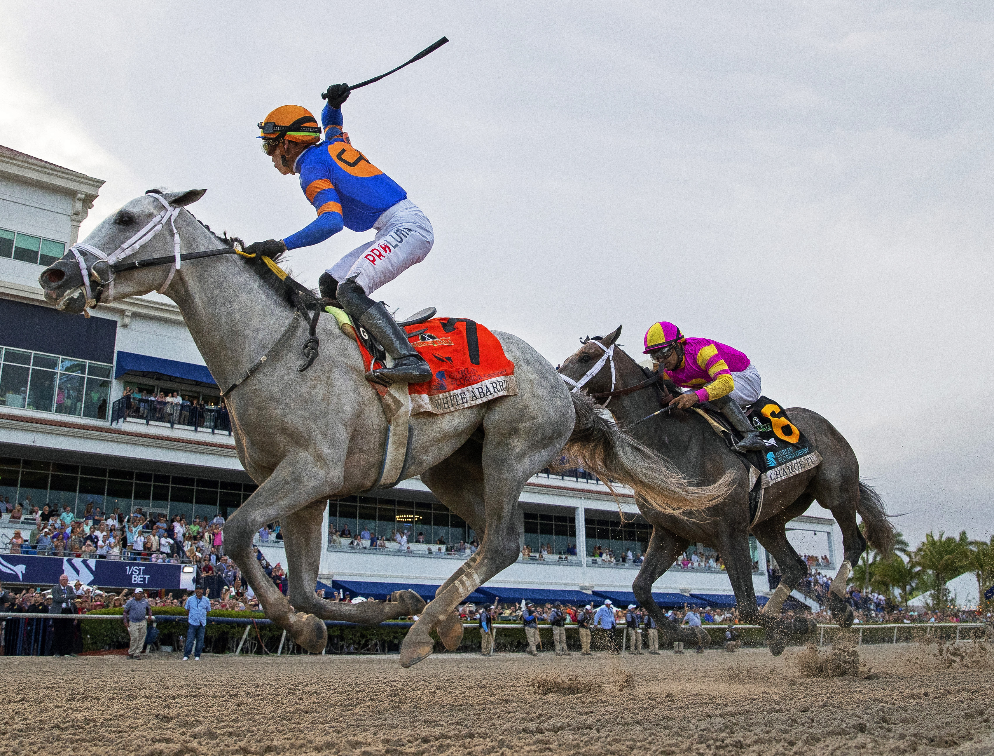 White Abarrio/Florida Derby