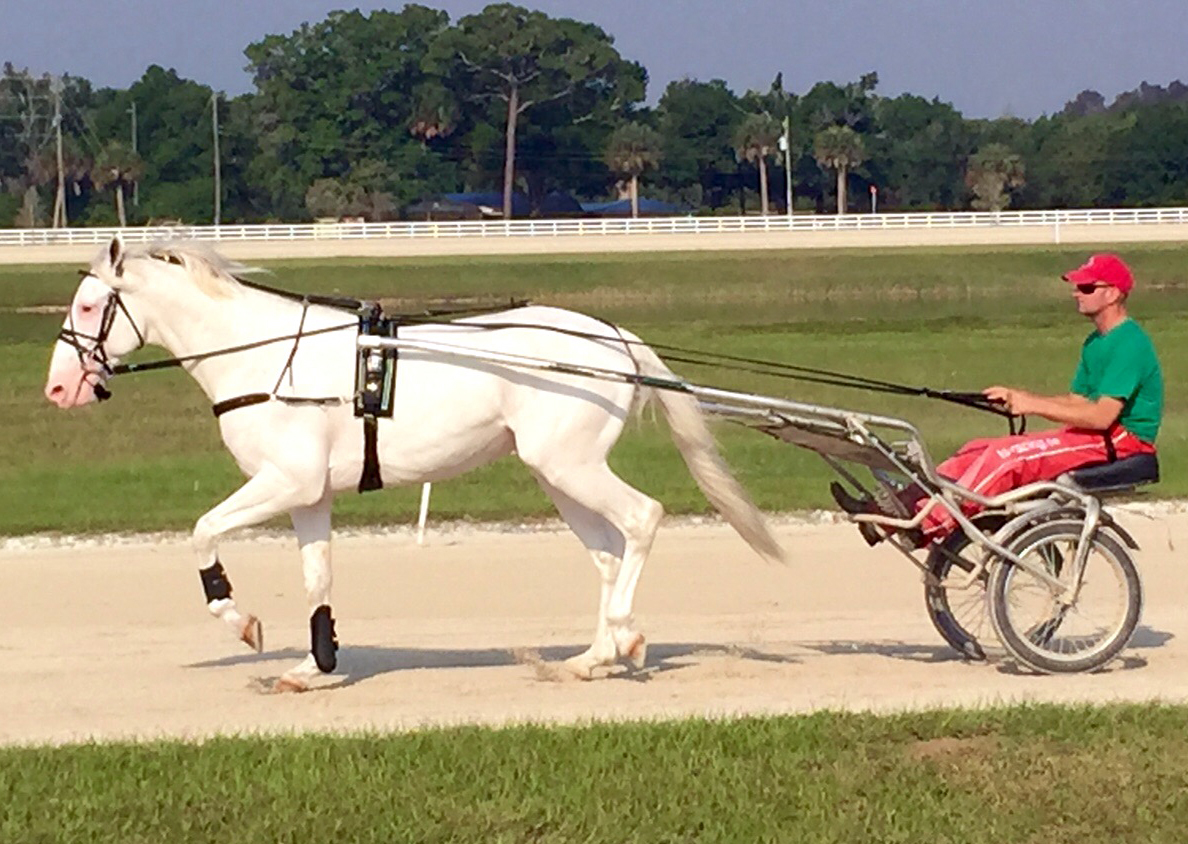 White Bliss_training
