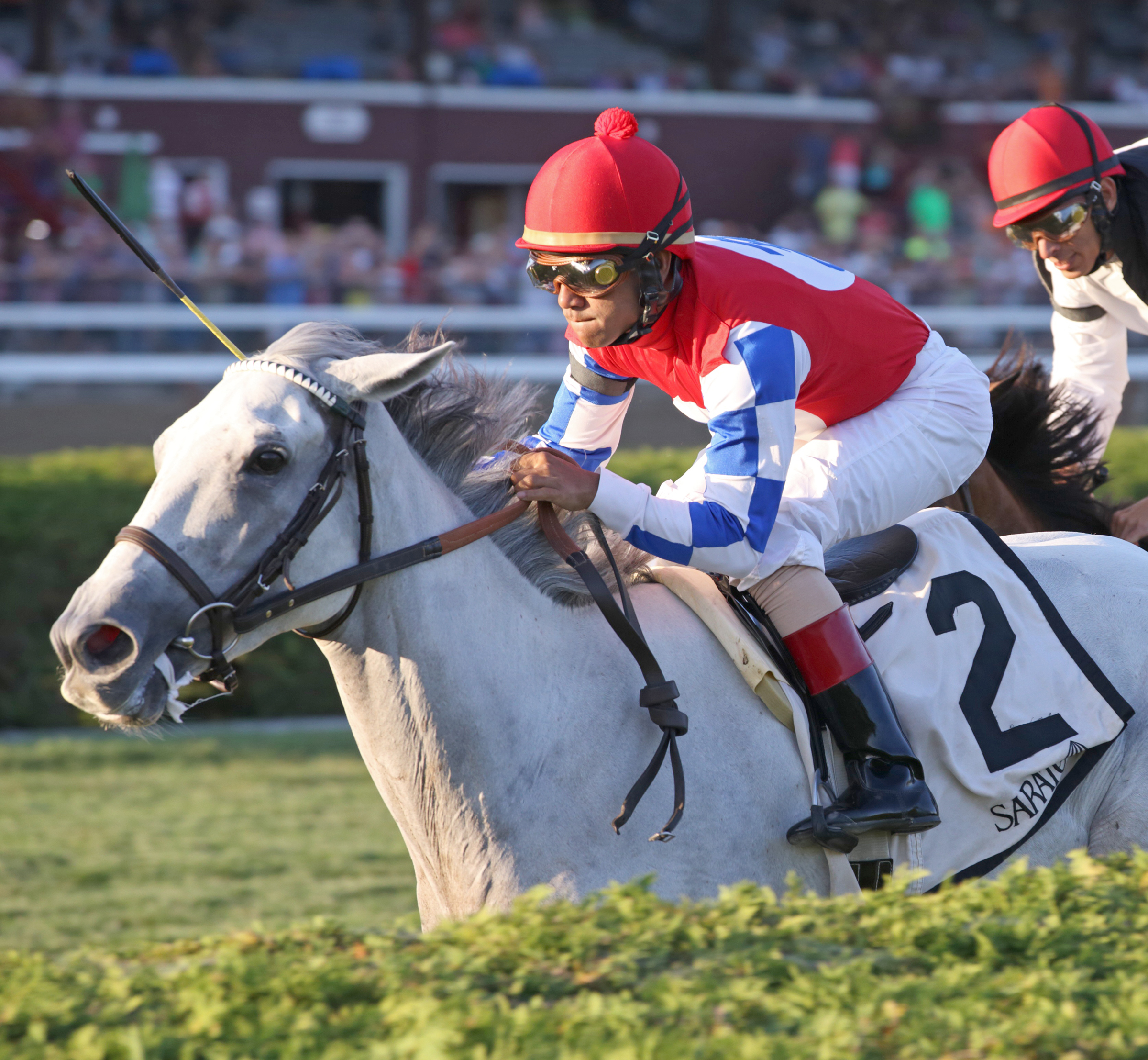 White Rose wins 2015 Glens Falls