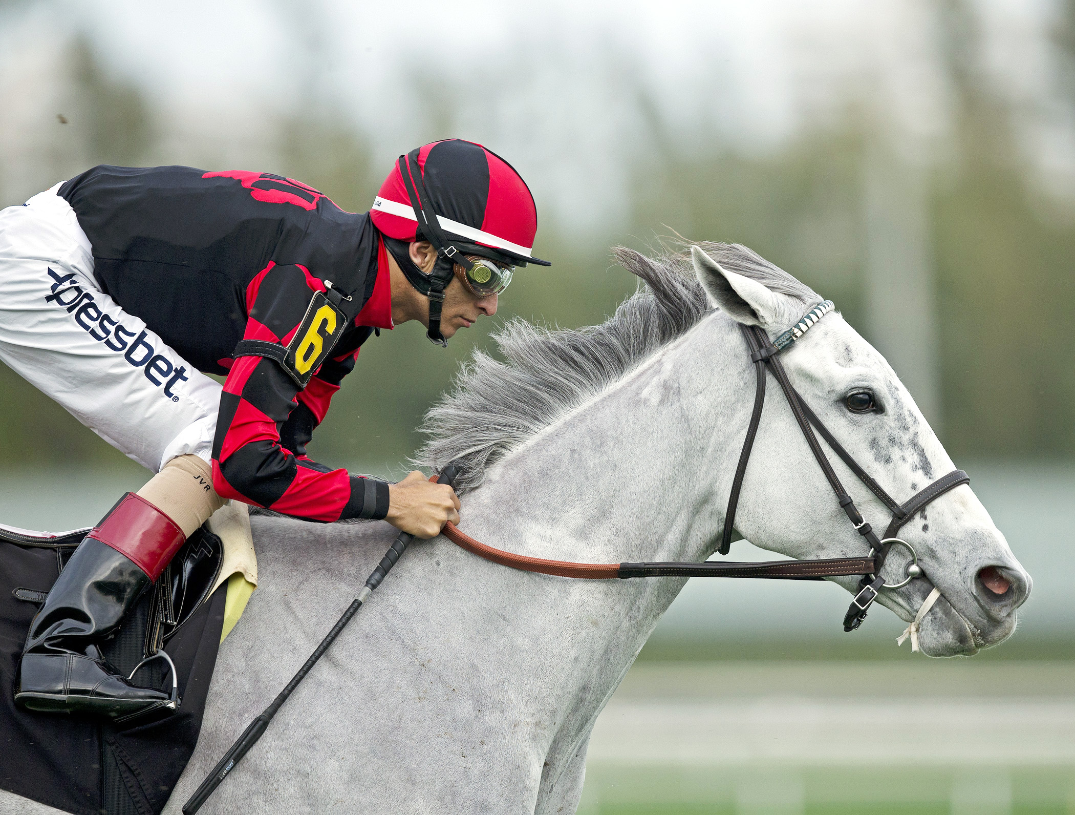 White Rose finishes fifth in a claiming race