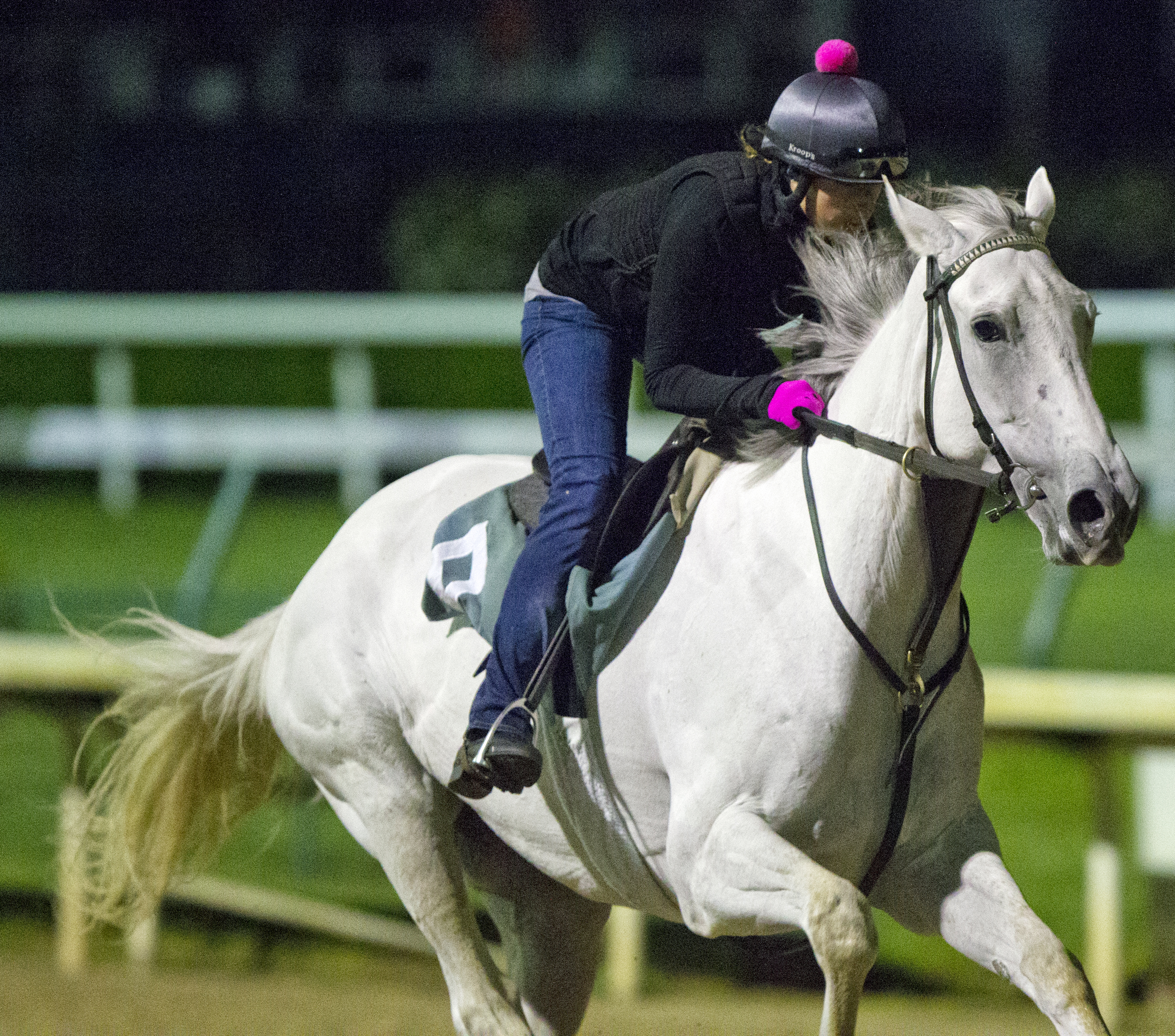 White Rose at Churchill April 2015