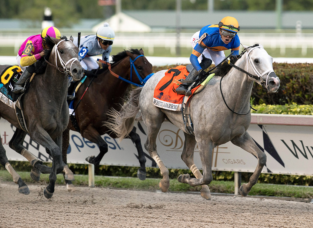 White Abarrio wins the 2022 Florida Derby at Gulfstream Park