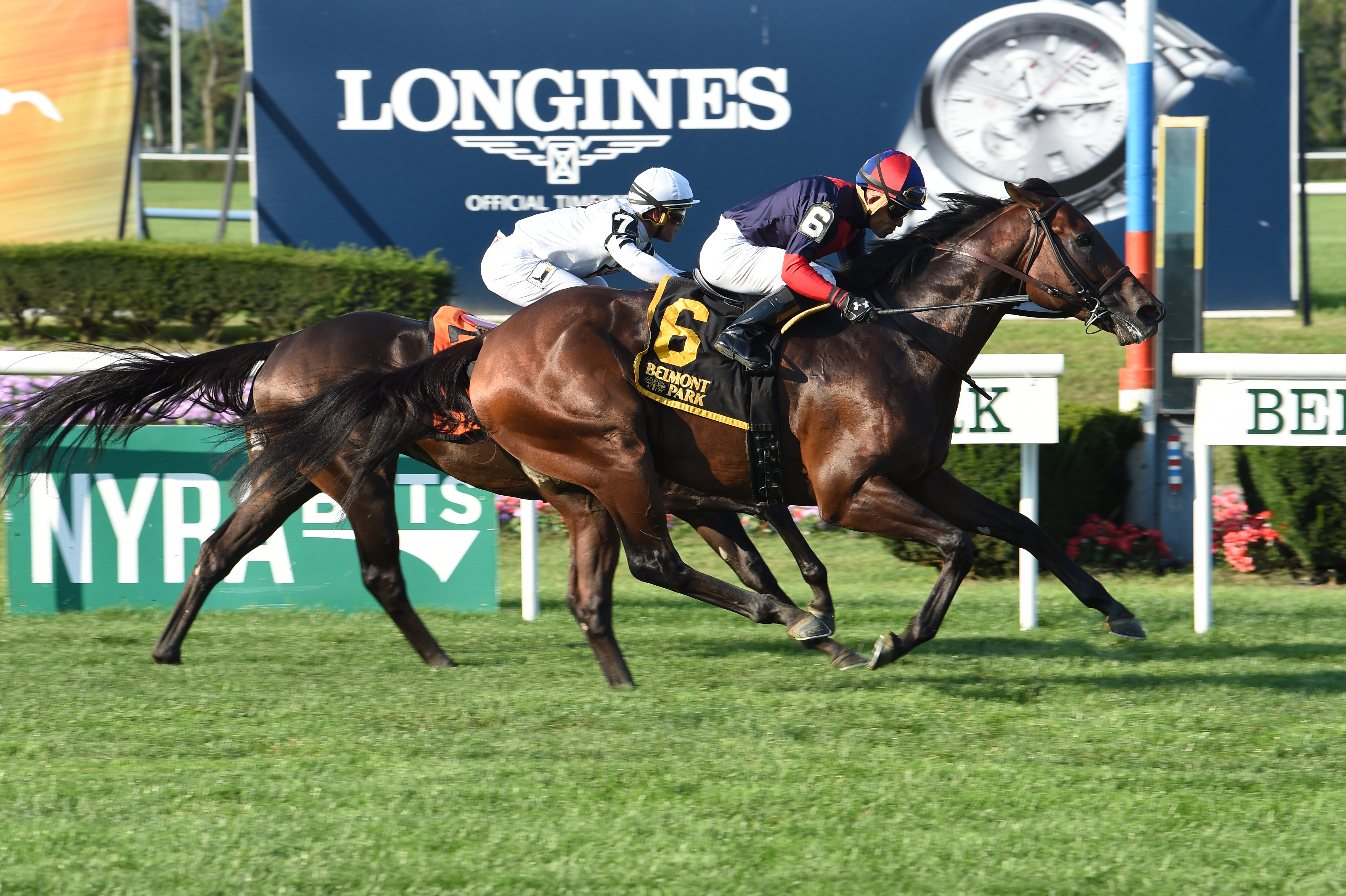White Flag wins the 2017 Allied Forces Stakes