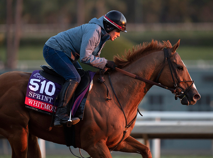 Whitmore trains at Santa Anita before the Breeders' Cup