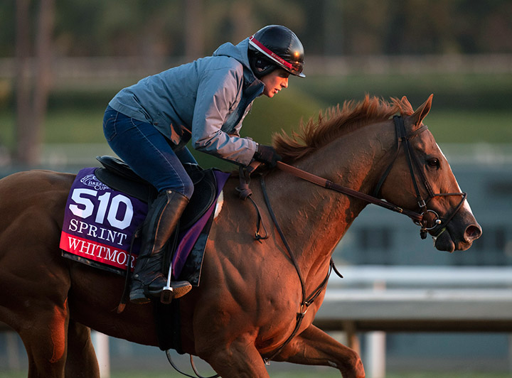 Whitmore trains at Santa Anita before the Breeders' Cup