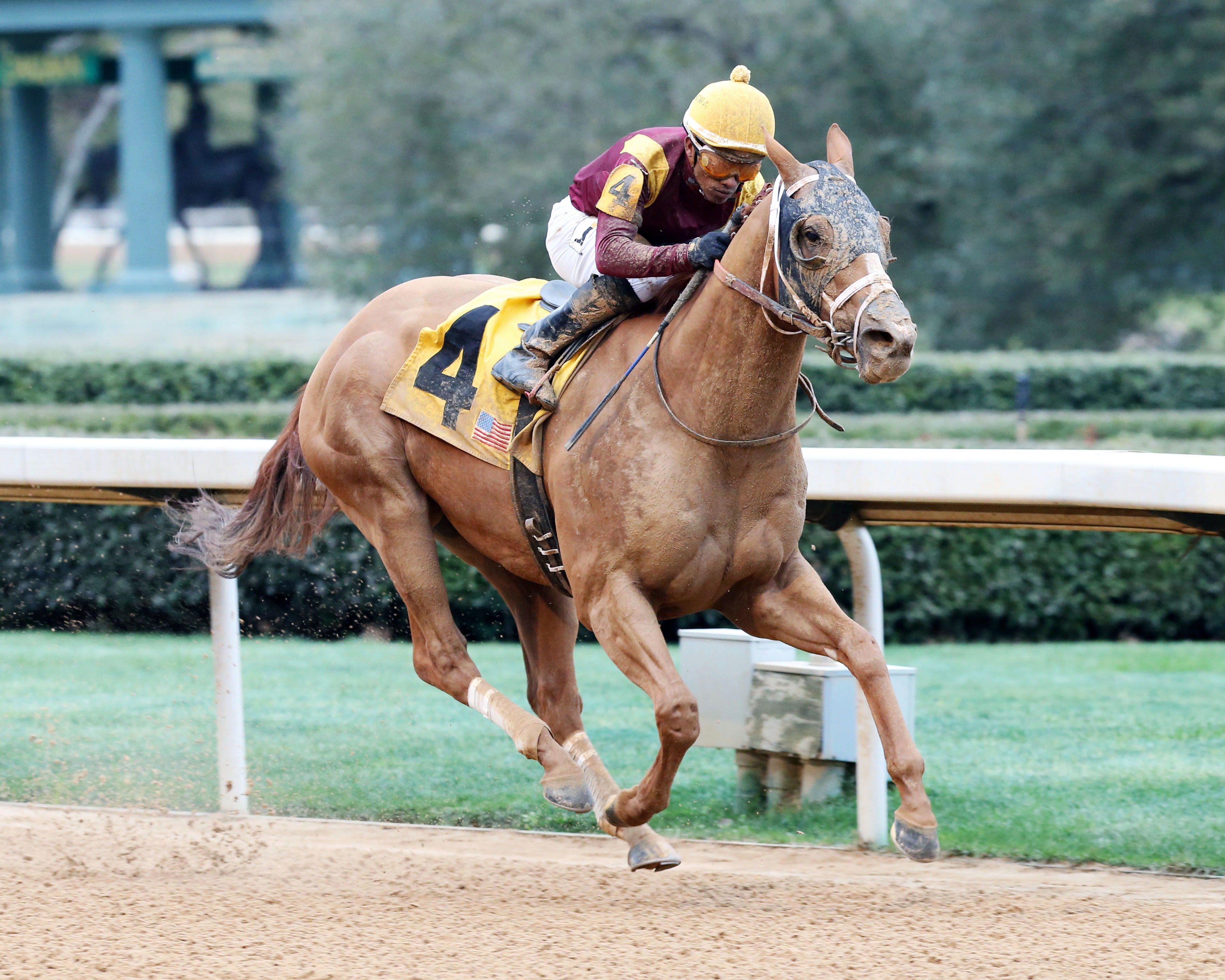 Whitmore wins the 2017 Hot Springs Stakes