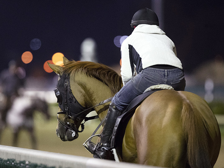 Whitmore at Churchill Downs for the Breeders Cup