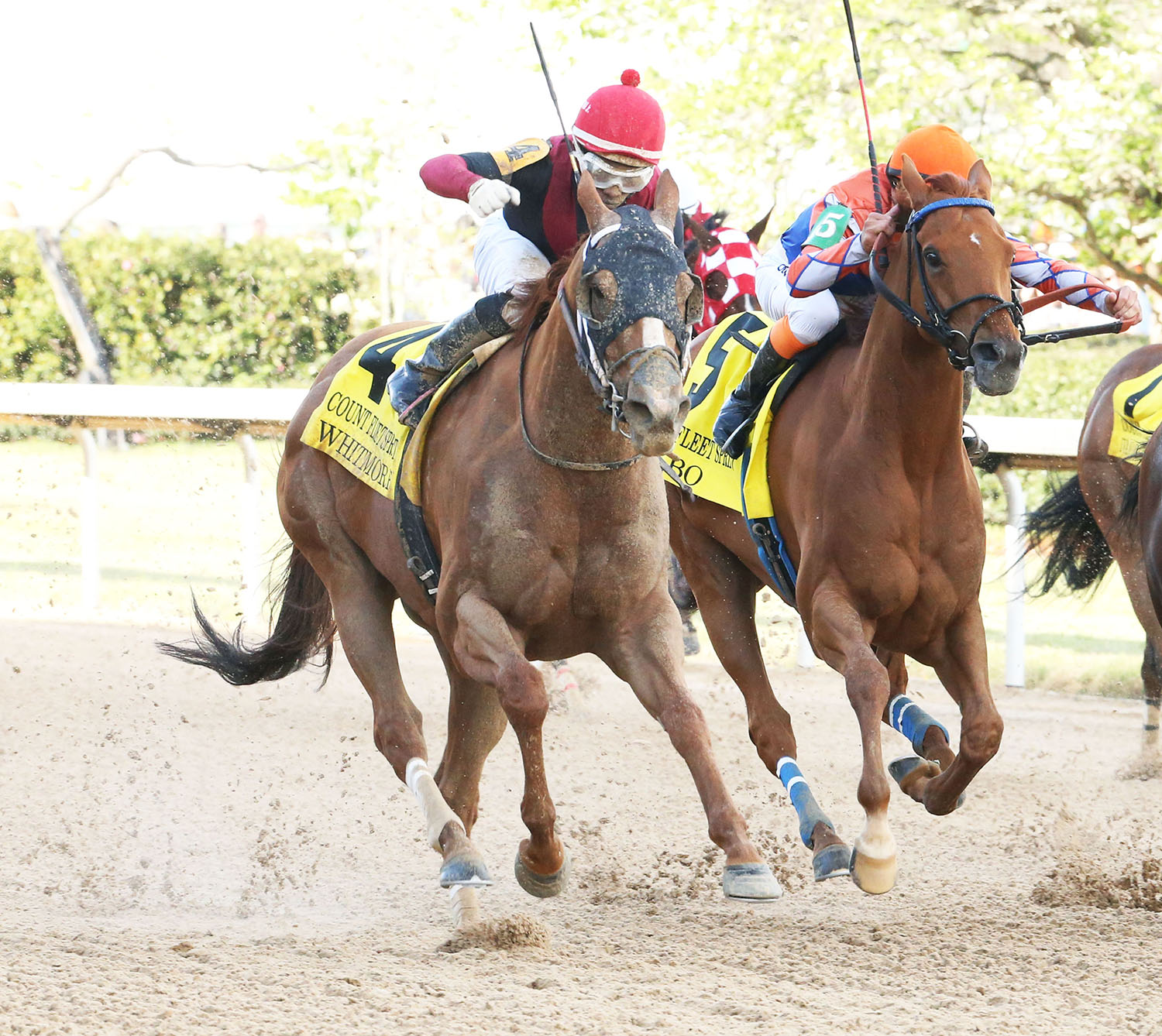 Wilbo finishes second in the 2018 Count Fleet Sprint