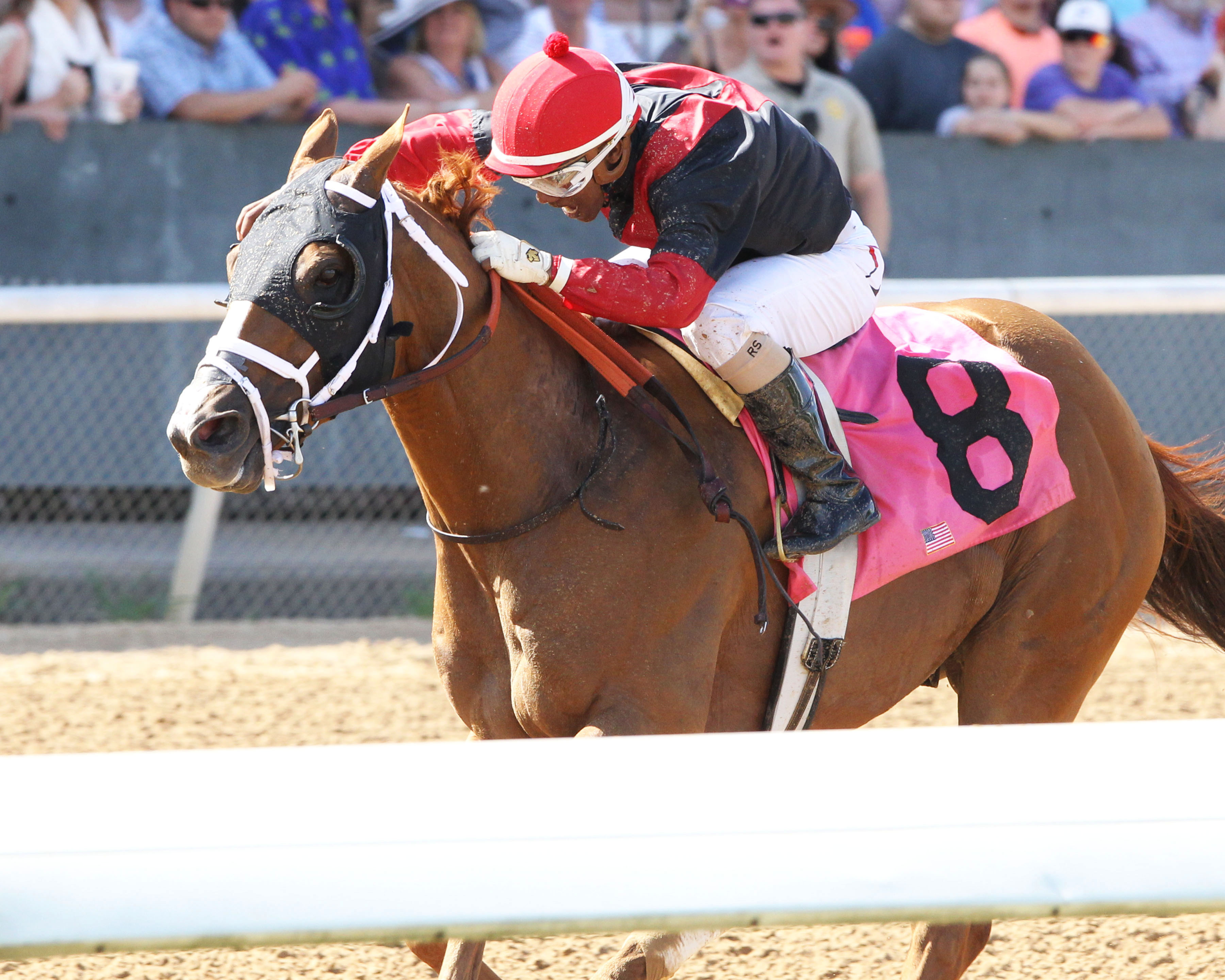 Whitmore wins the Count Fleet Sprint