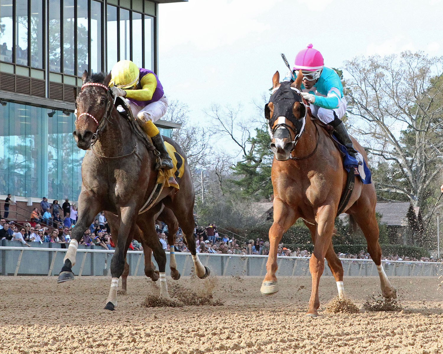 Wynn Time finishes second in the Hot Springs Stakes