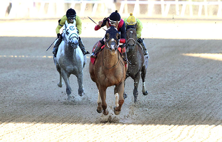 Whitmore wins the 2019 Hot Springs Stakes