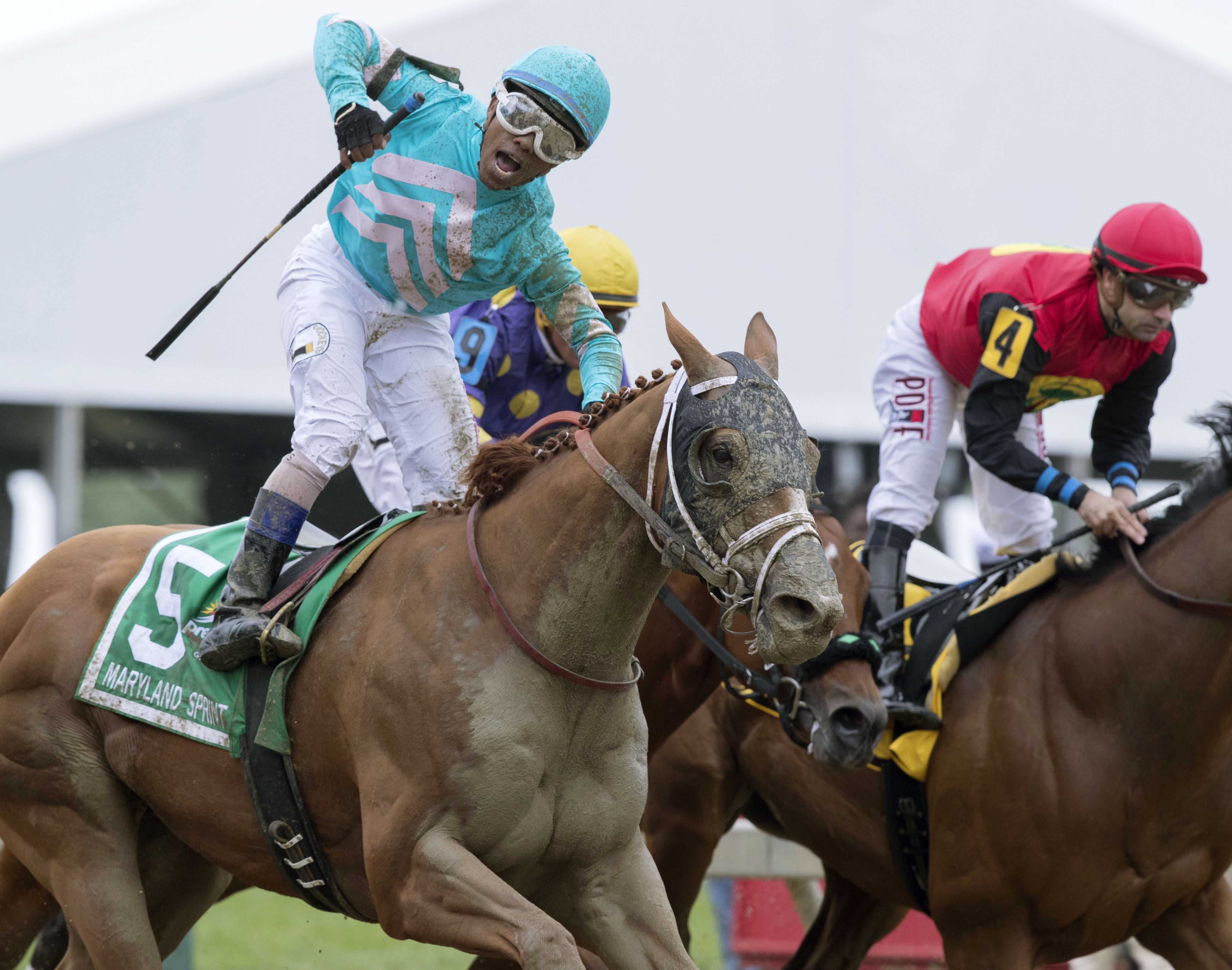 Whitmore wins the Maryland Sprint Stakes