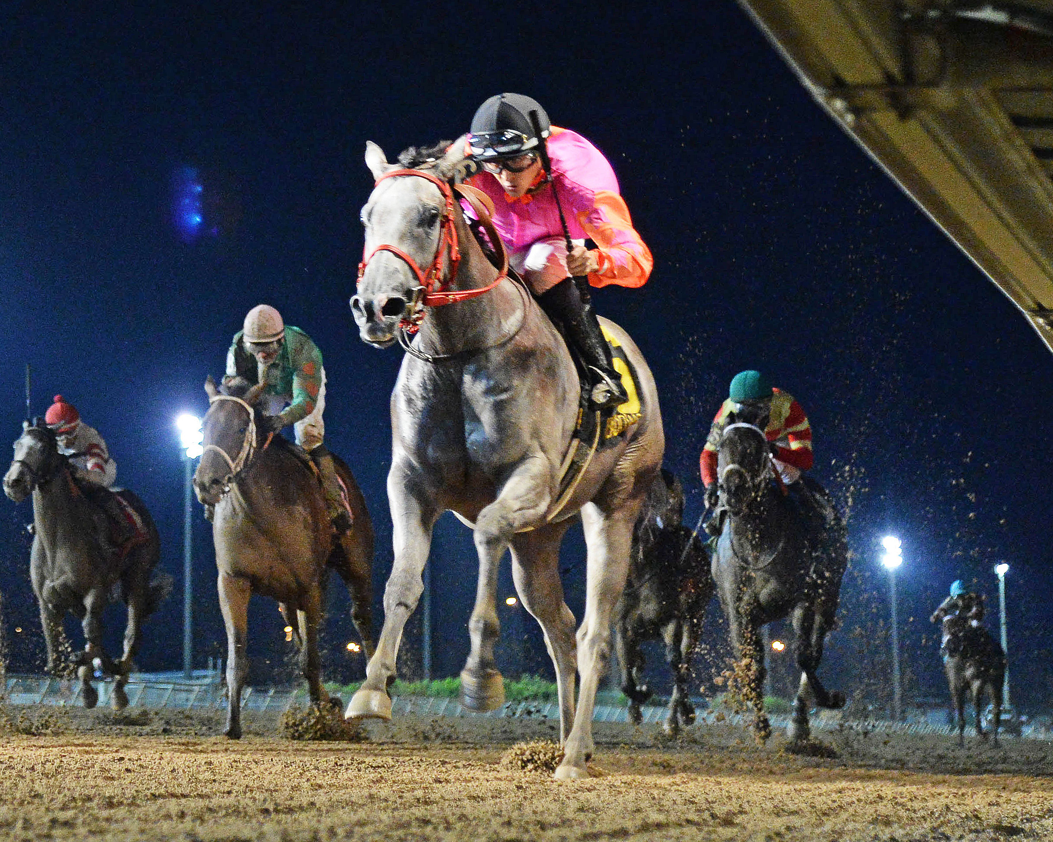 Who's Smokin wins the Prairie Gold Lassie Stakes