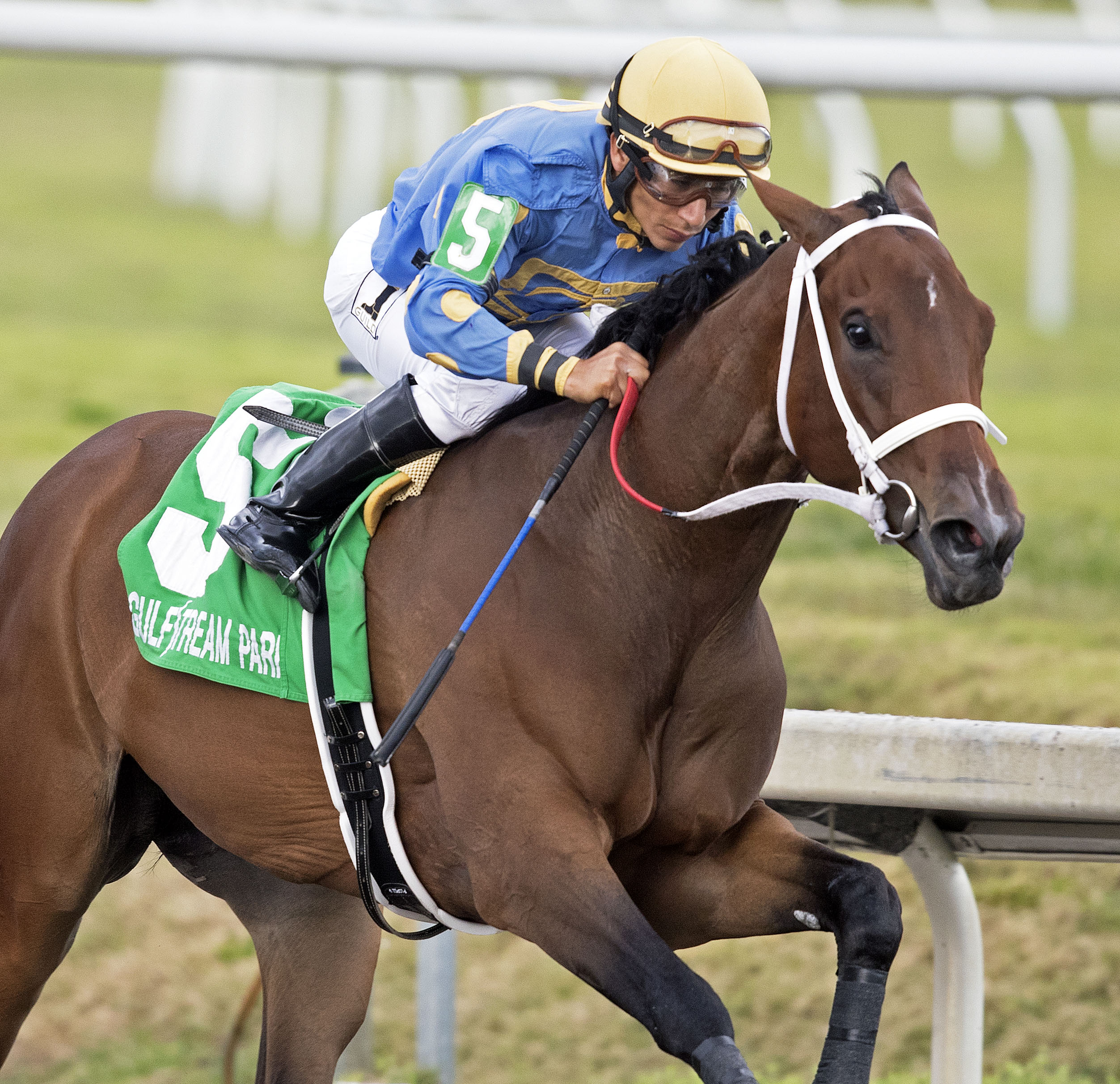 Who's the Lady wins the Any Limit Stakes