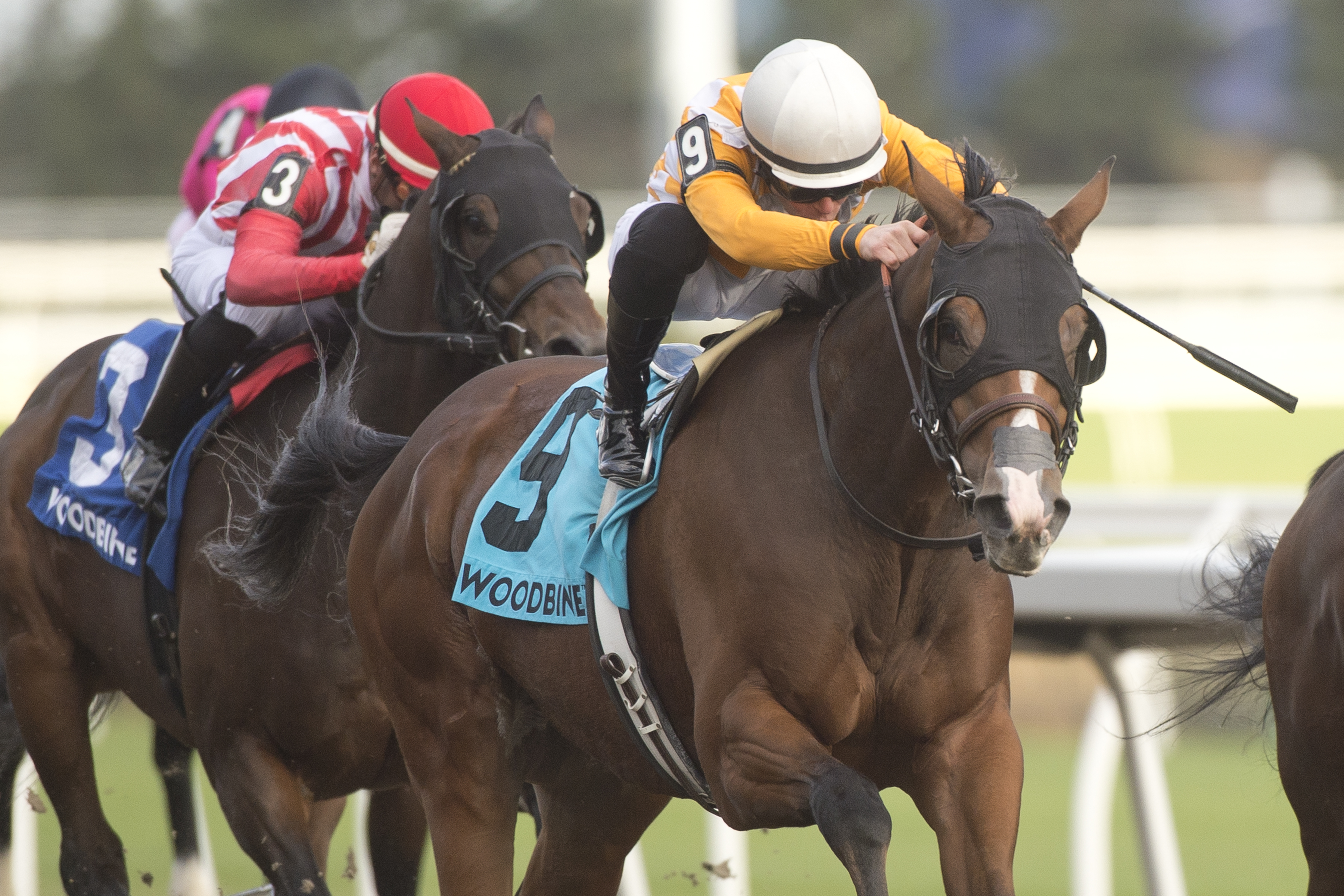 Who's the Star wins the Durham Cup at Woodbine Oct 8 2022