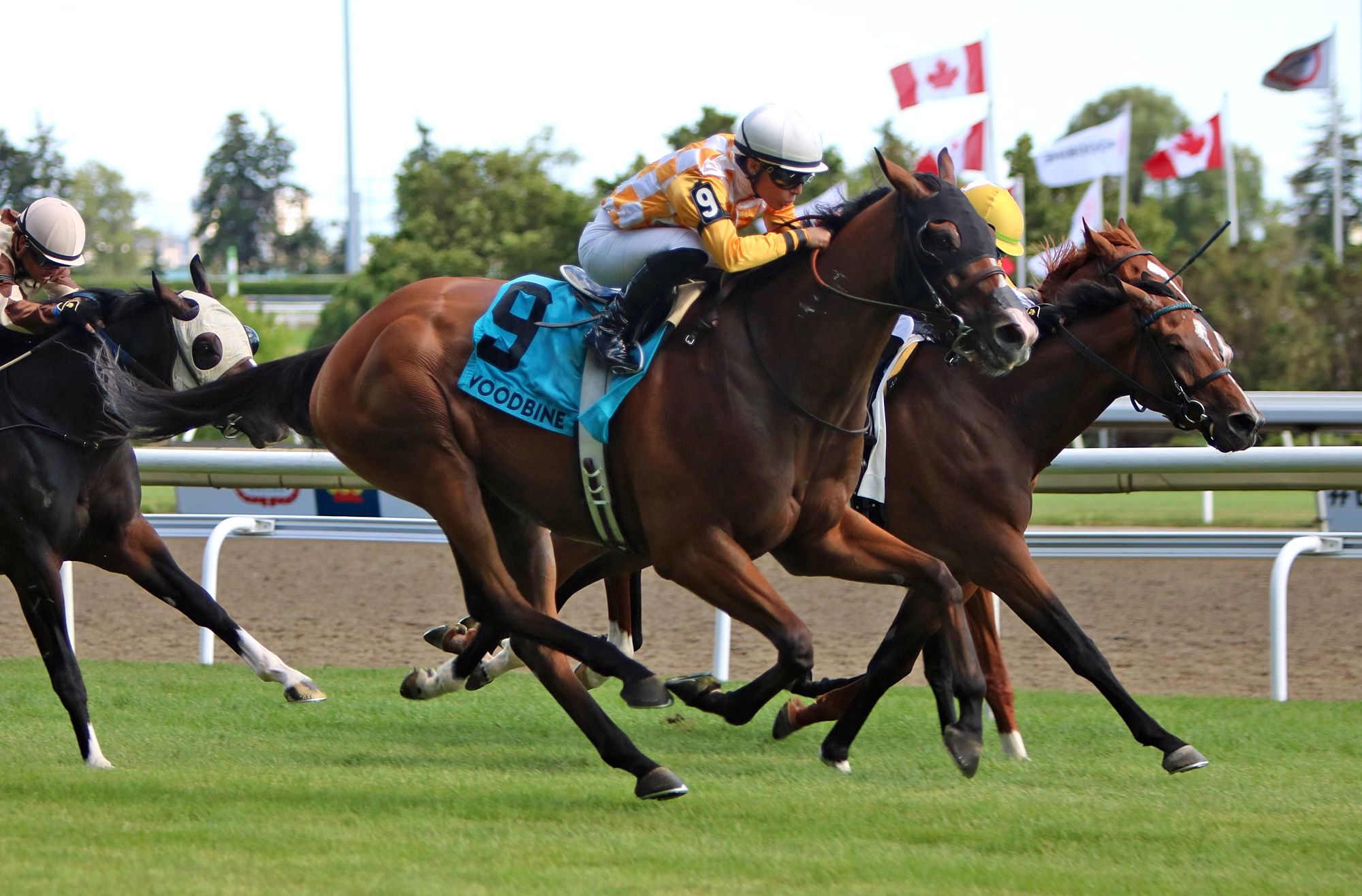 Who's The Star wins Niagara Stakes 7-30-2022