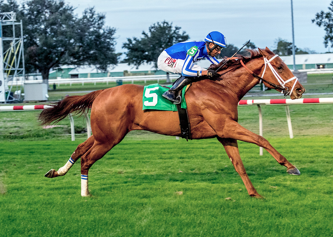 Who Took the Money wins the 2021 Louisiana Champions Day Turf at Fair Grounds