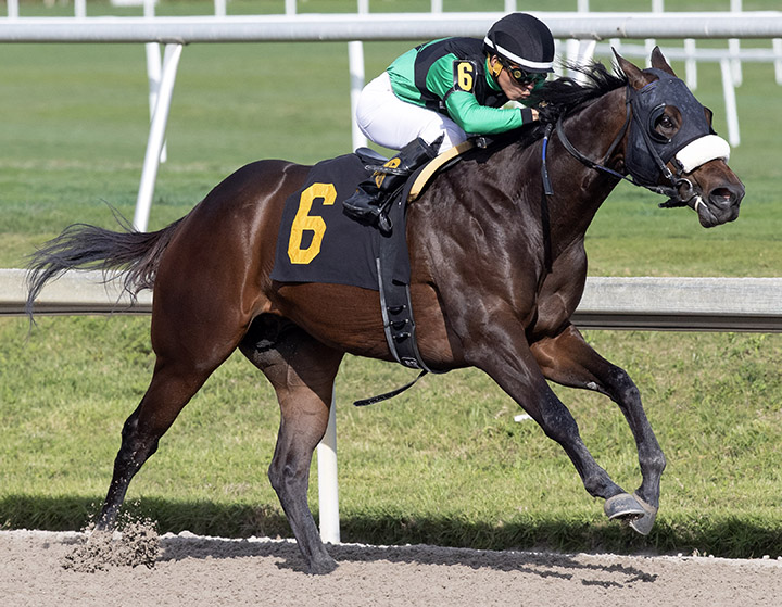 Who-s In Charge wins a Feb. 2 maiden race