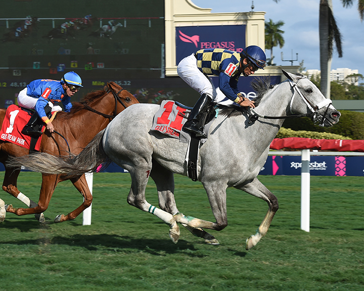 Who-s Your Drama wins the 2019 Chrysaor Stakes