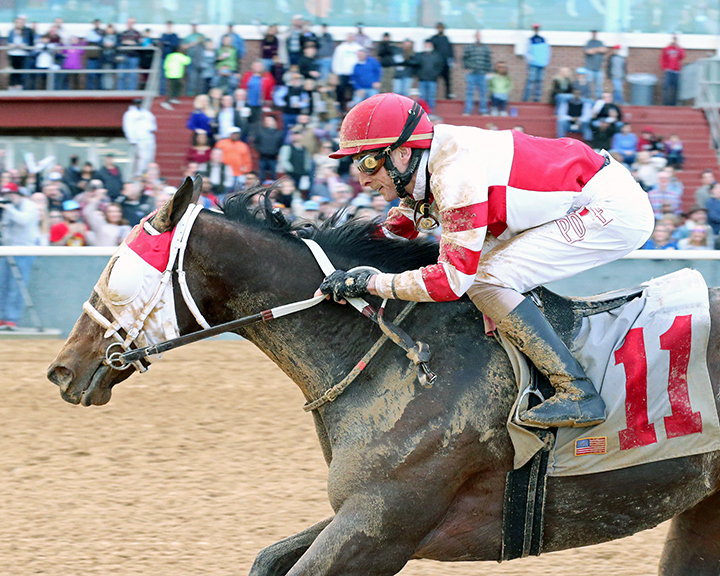 Whoa Nellie wins the 2020 Pippin Stakes at Oaklawn Park