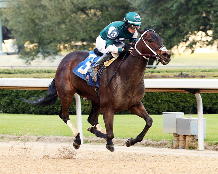 Wholehearted wins a Feb. 16 allowance at Oaklawn Park