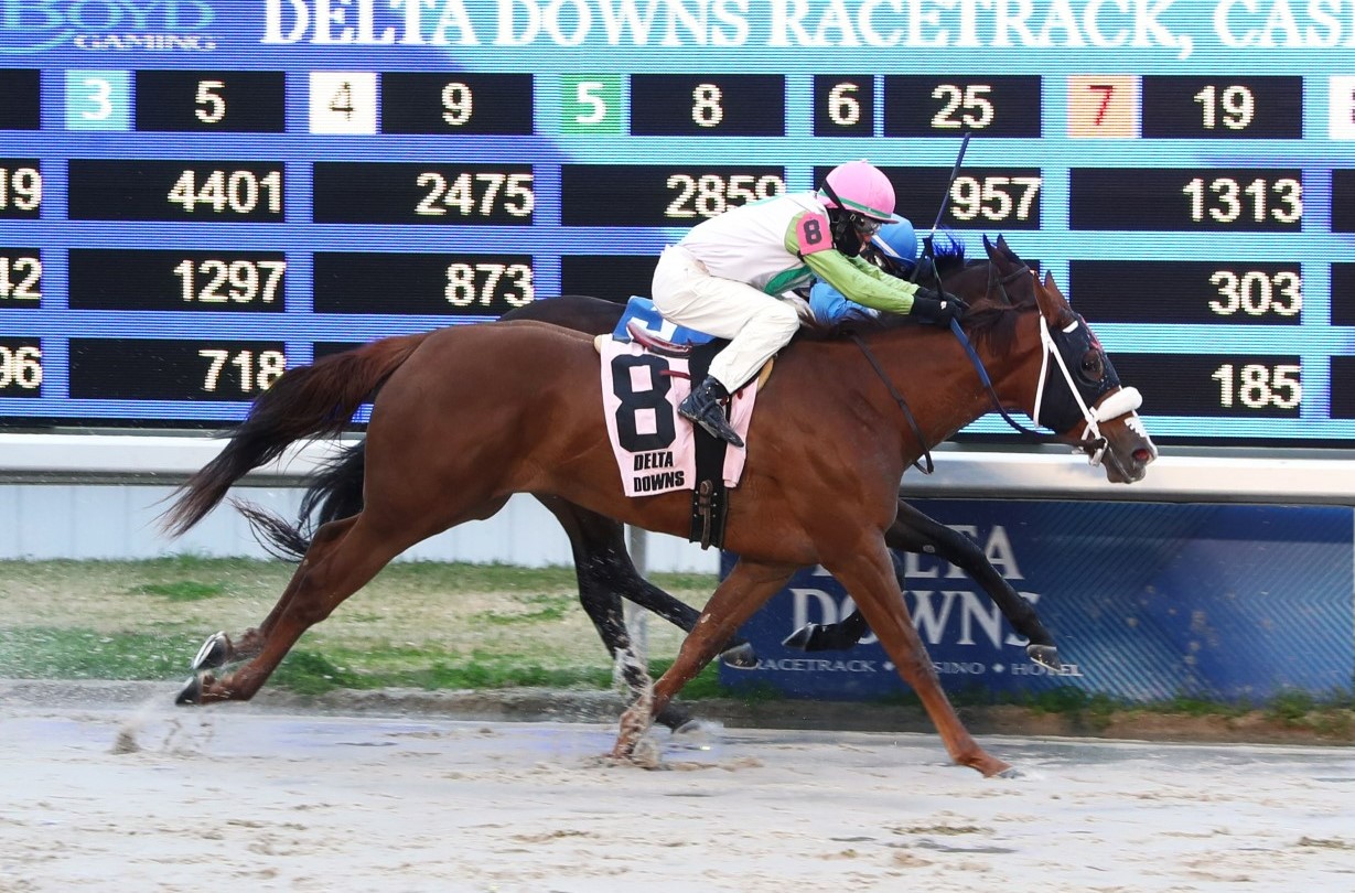 Wholelottamo wins the Take Charge Brandi Stakes.02.25.2022