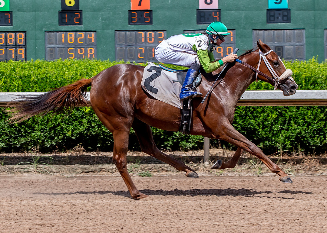 Wholelottamo wins the 2021 Louisiana Cup Juvenile Fillies Stake at Louisiana Downs