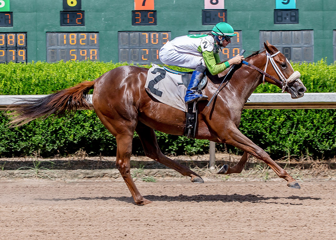 Wholelottamo wins the 2021 Louisiana Cup Juvenile Fillies Stakes at Louisiana Downs