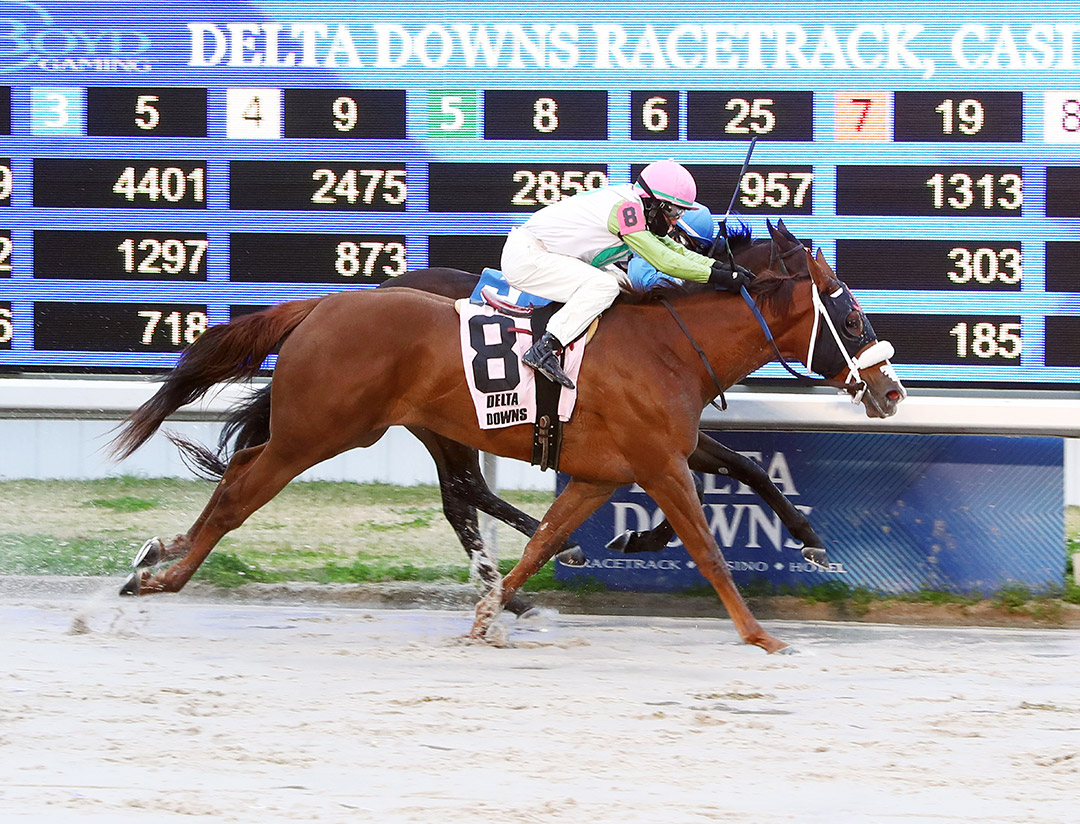 Wholelottamo (No. 8) wins the Take Charge Brandi Stakes at Delta Downs
