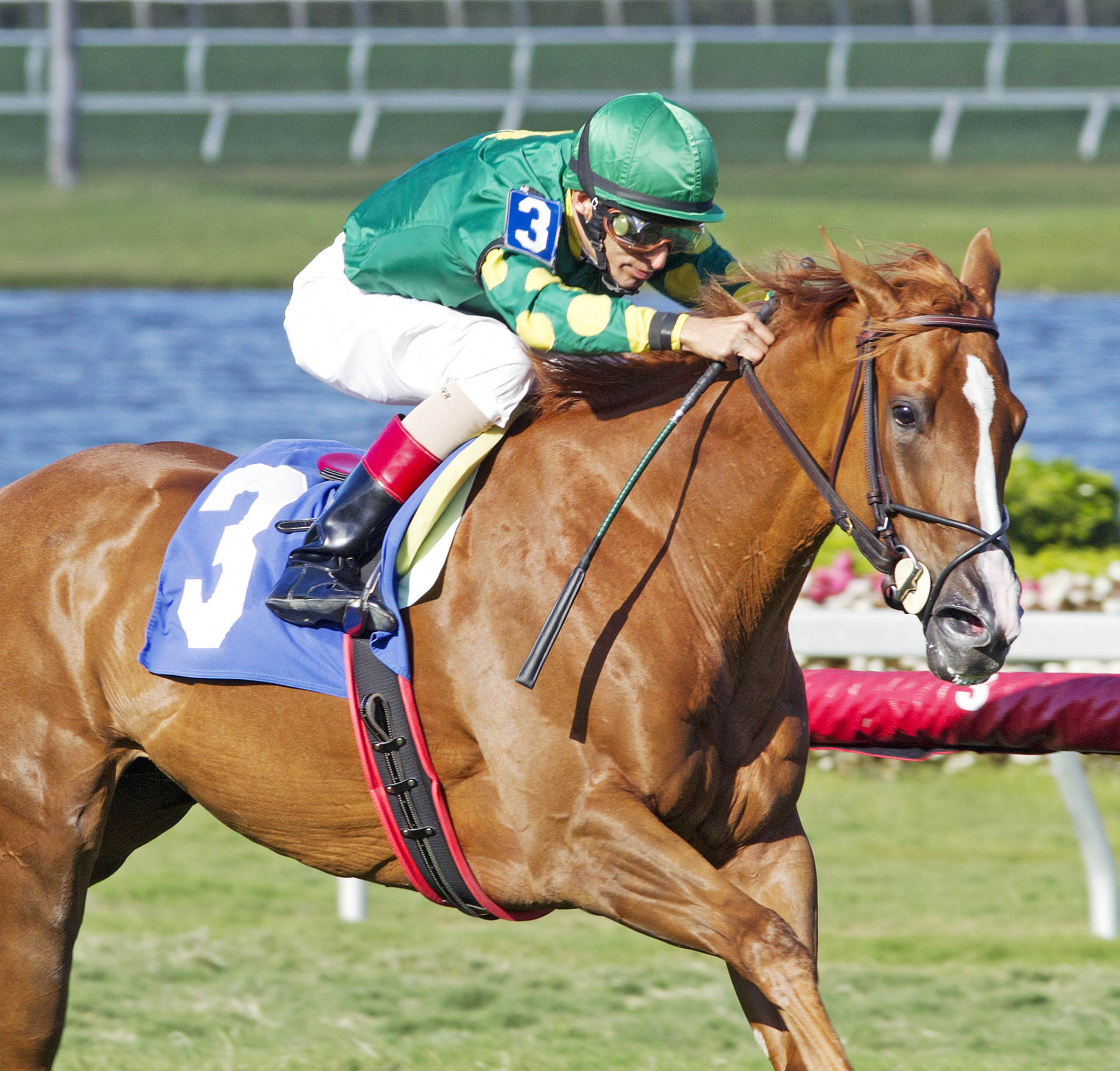 Why Katherine wins an optional claimer at Gulfstream