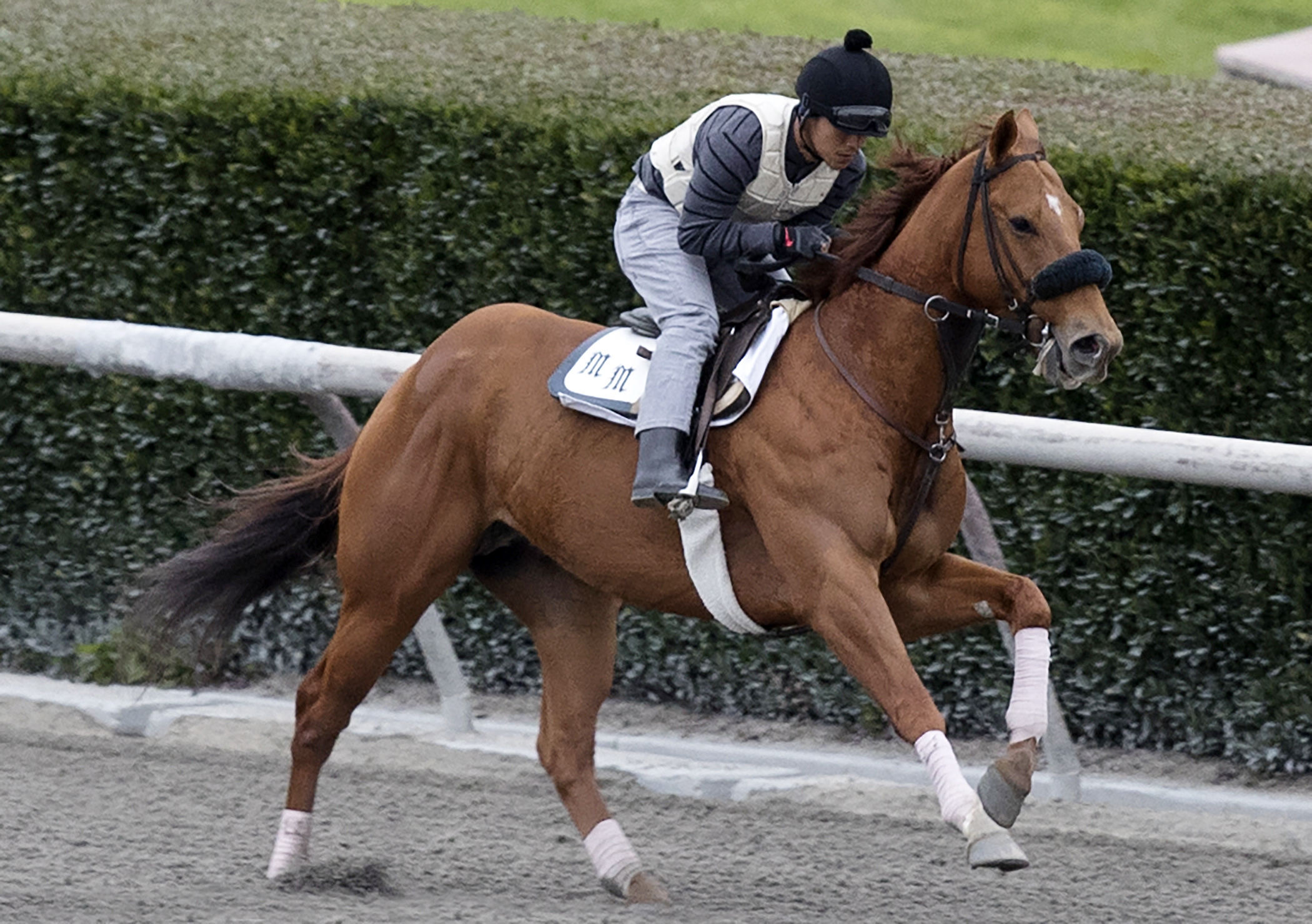 Why Two trains at Santa Anita on Feb. 27