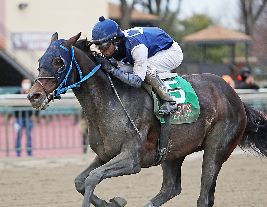Why Why Paul Why wins the 2021 Kris Kringle Stakes at Parx