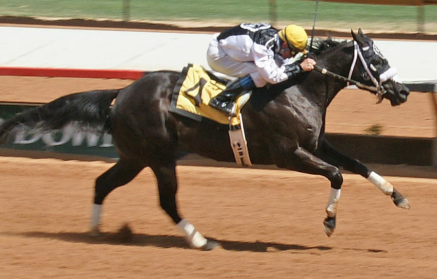Wicked Courage wins the Ruidoso Derby Trial No. 1
