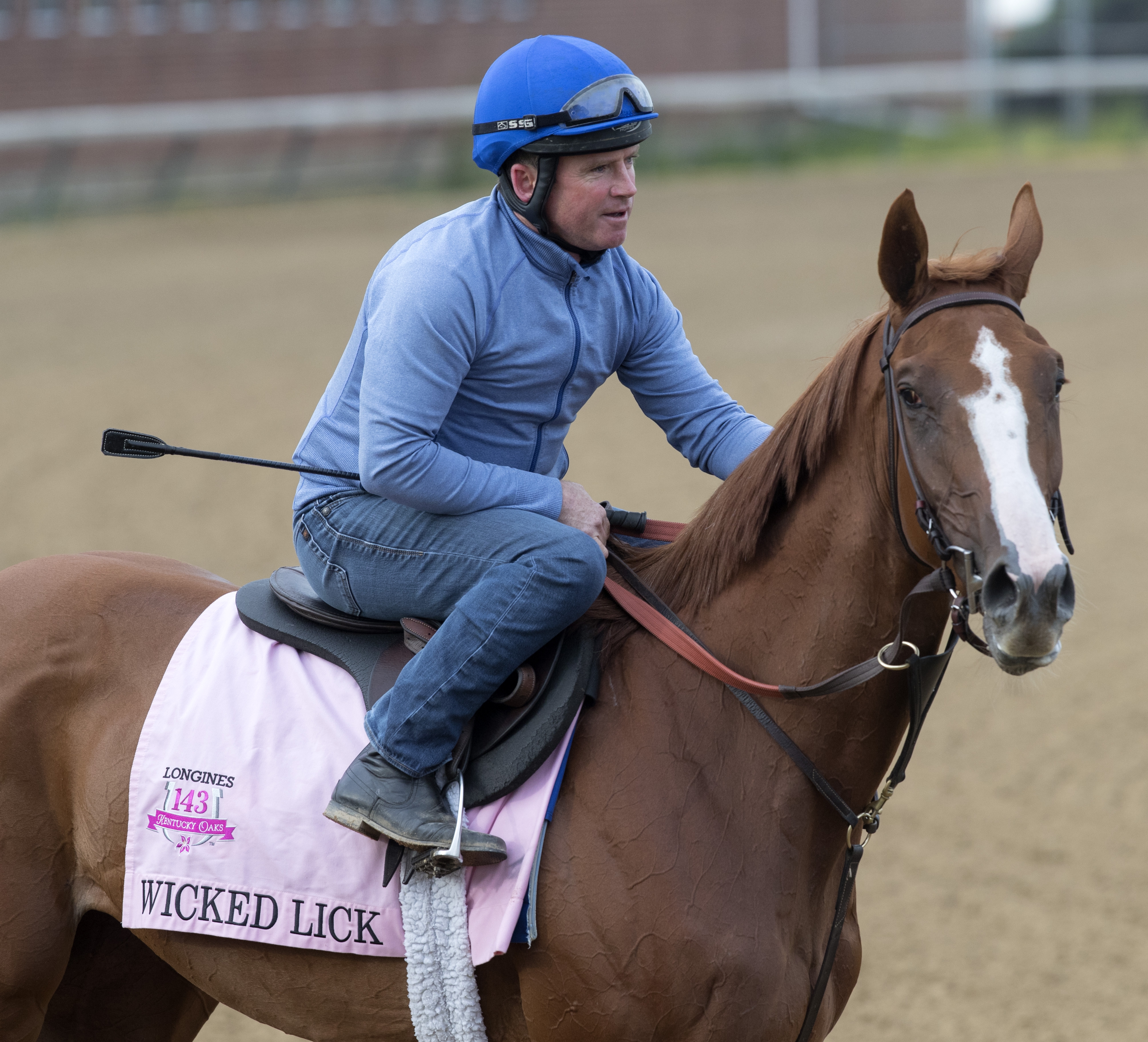 Wicked Lick on the track at Churchill Downs in May 2017
