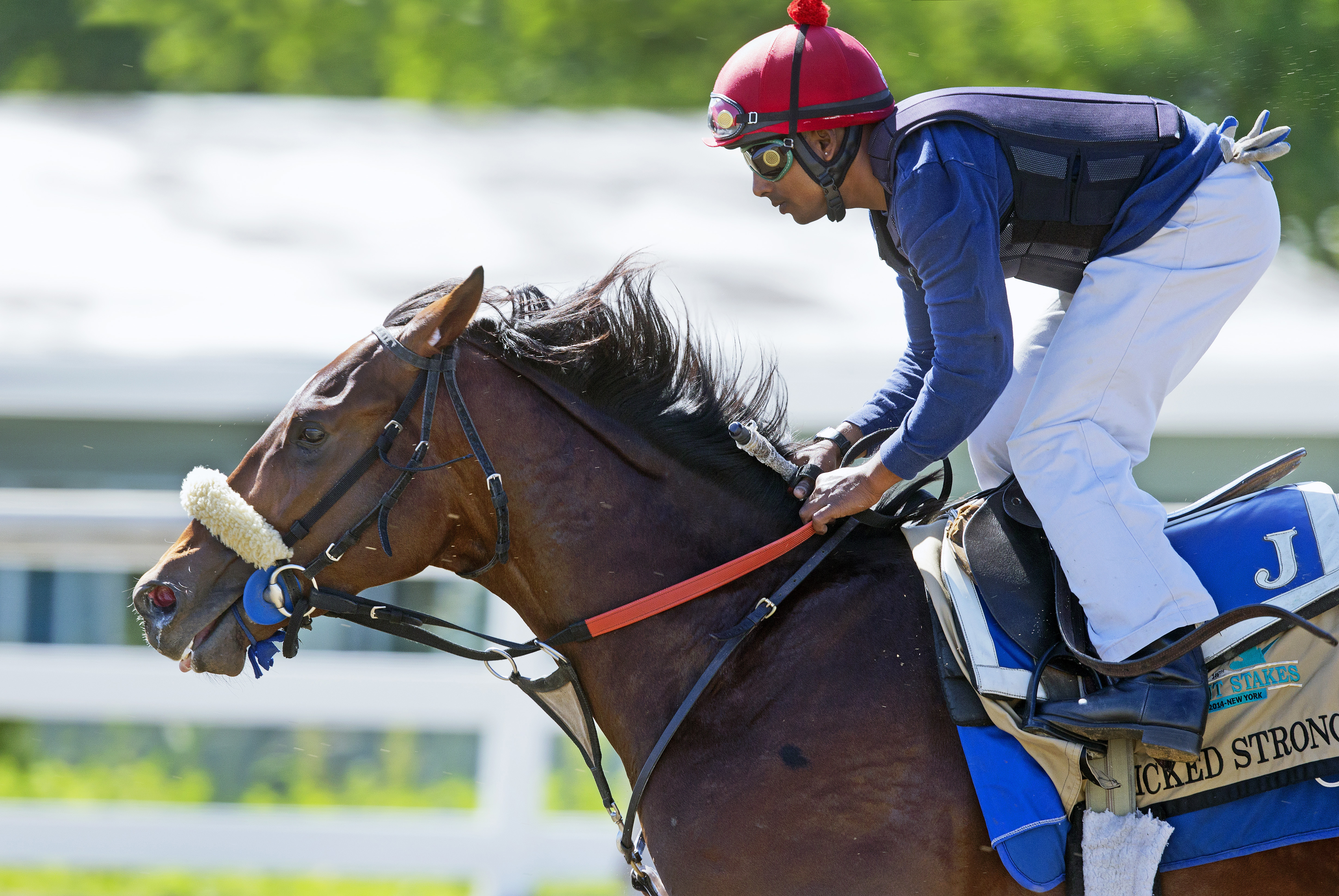 Wicked Strong 6/1 work Belmont