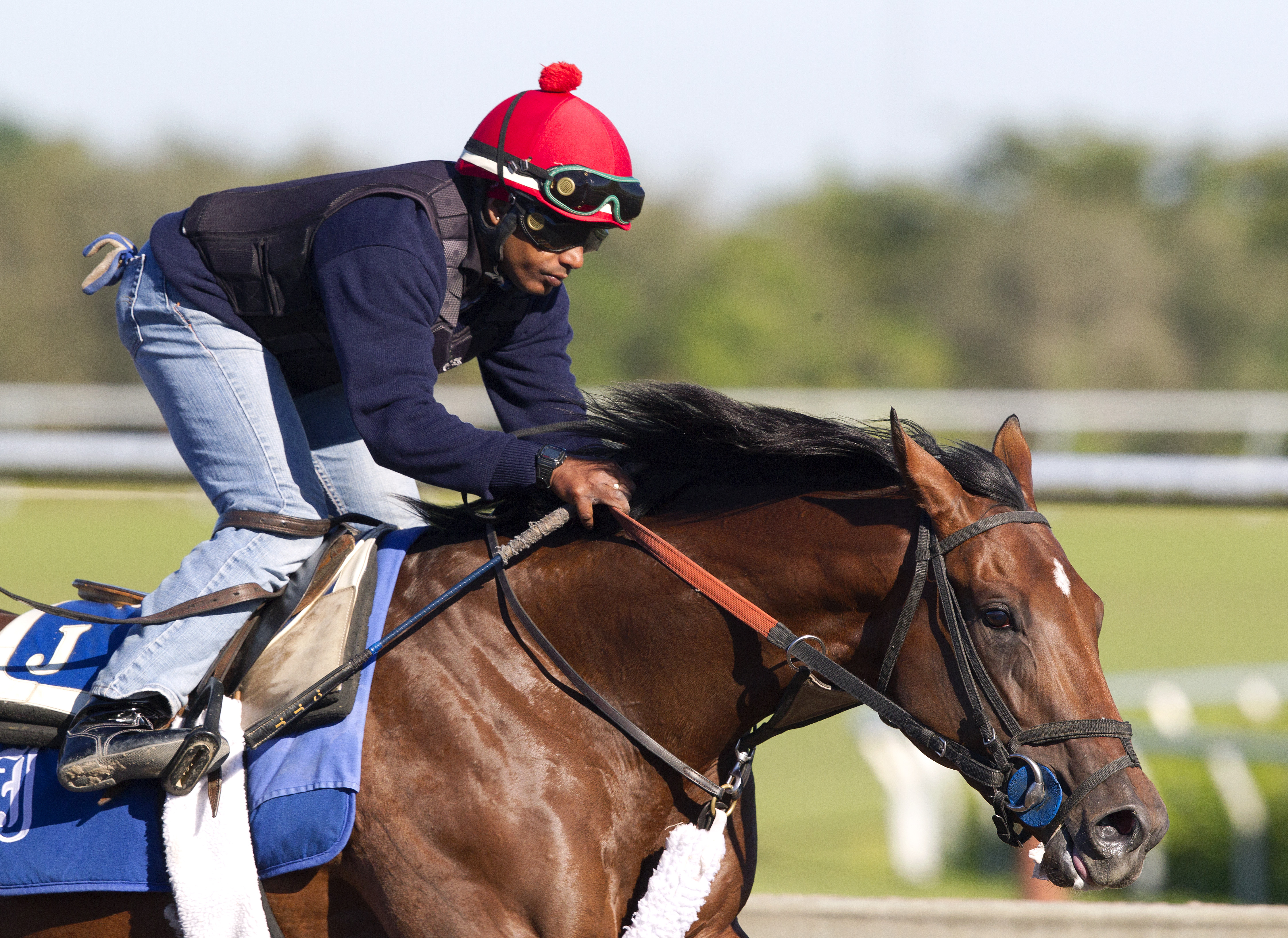 Wicked Strong at Palm Meadows