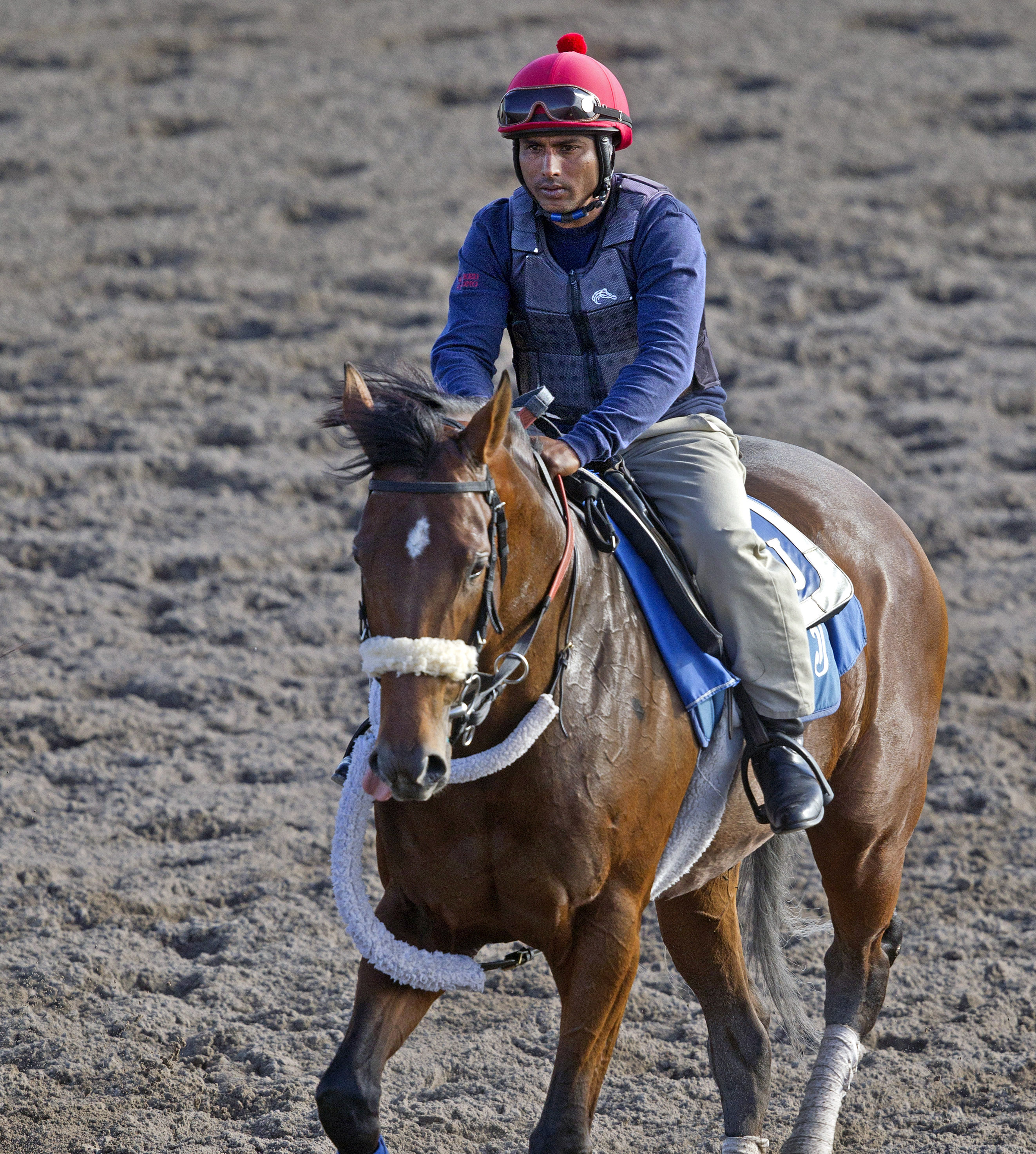 Wicked Strong training at Palm Meadows