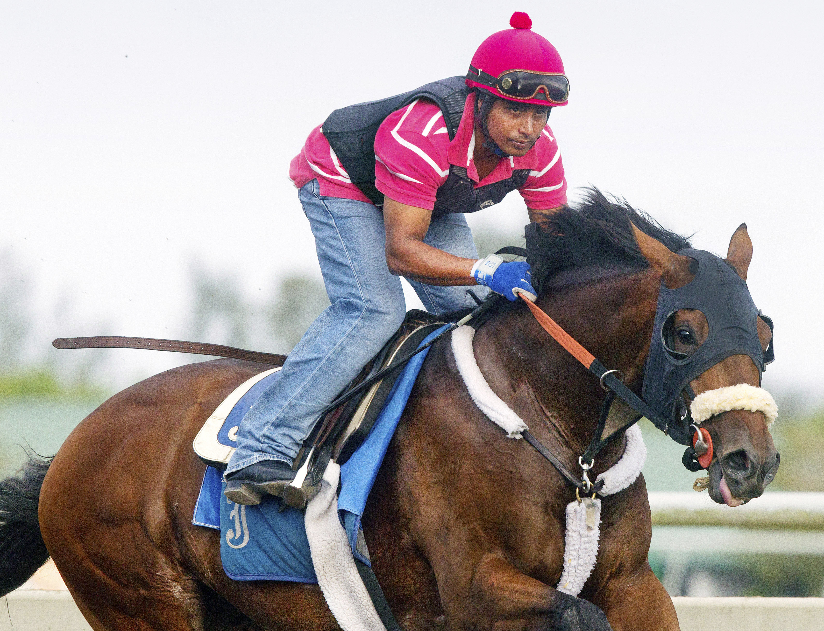 Wicked Strong at Palm Meadows on Feb. 28
