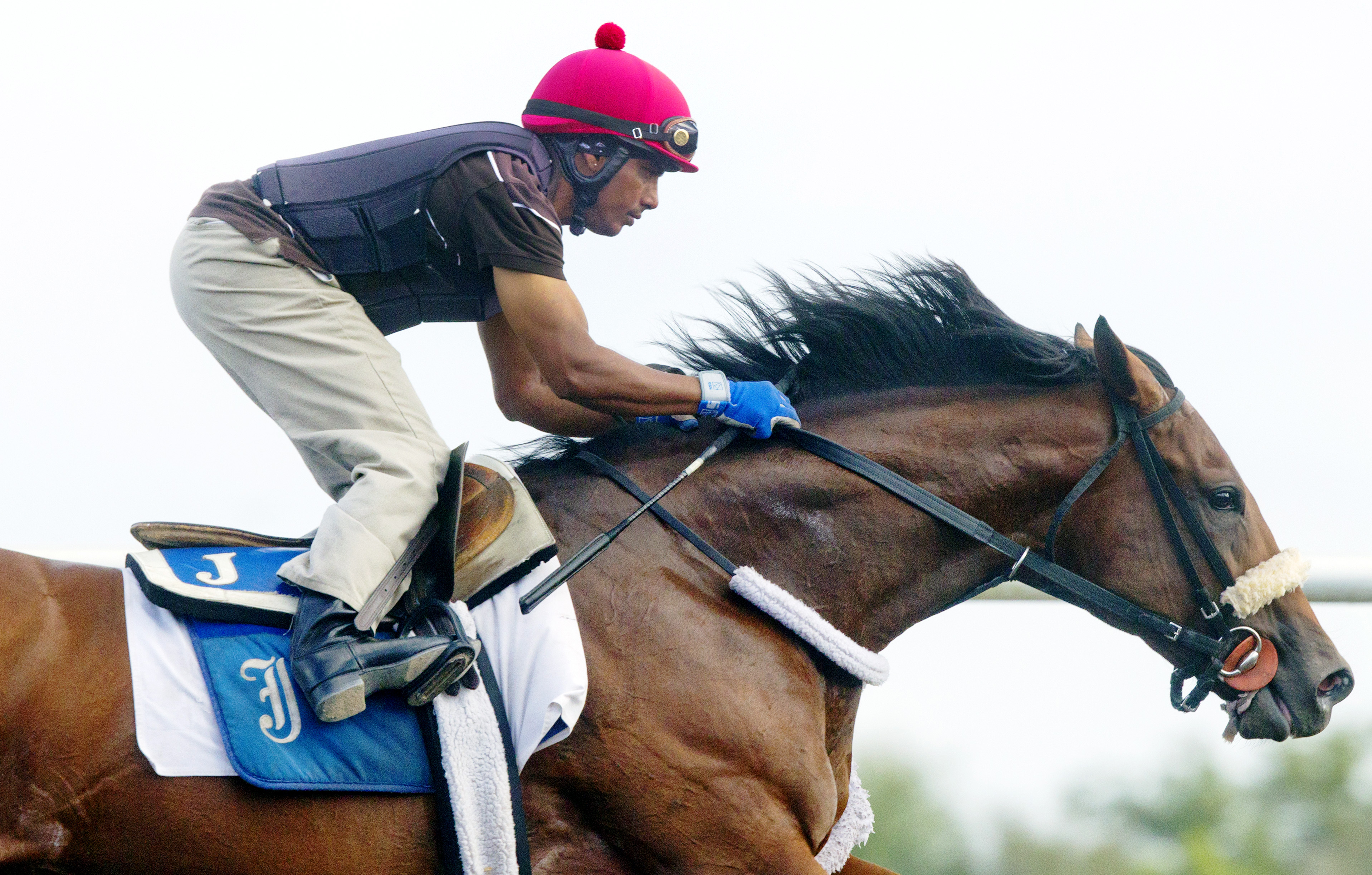Wicked Strong training at Palm Meadows in March