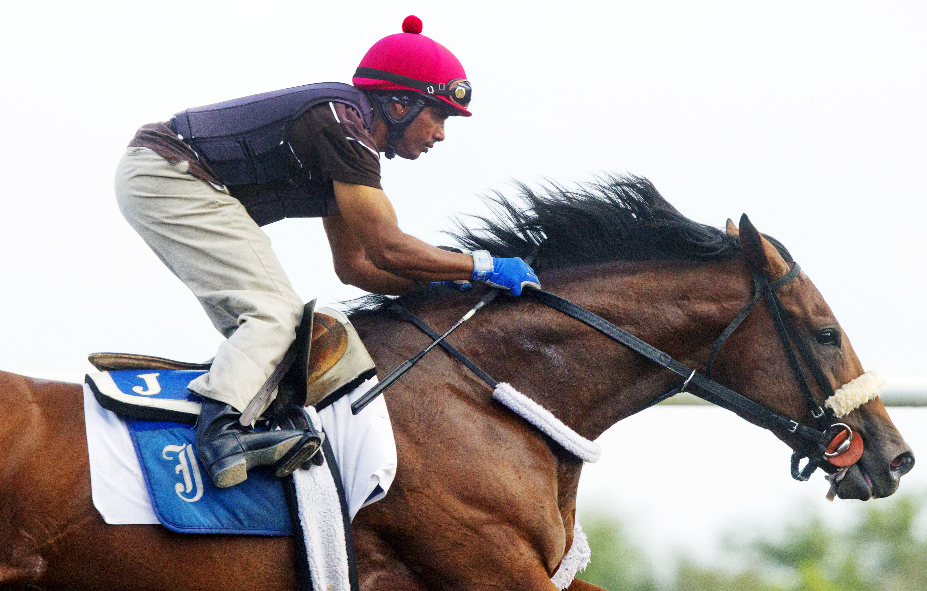 Wicked Strong at Palm Meadows in March