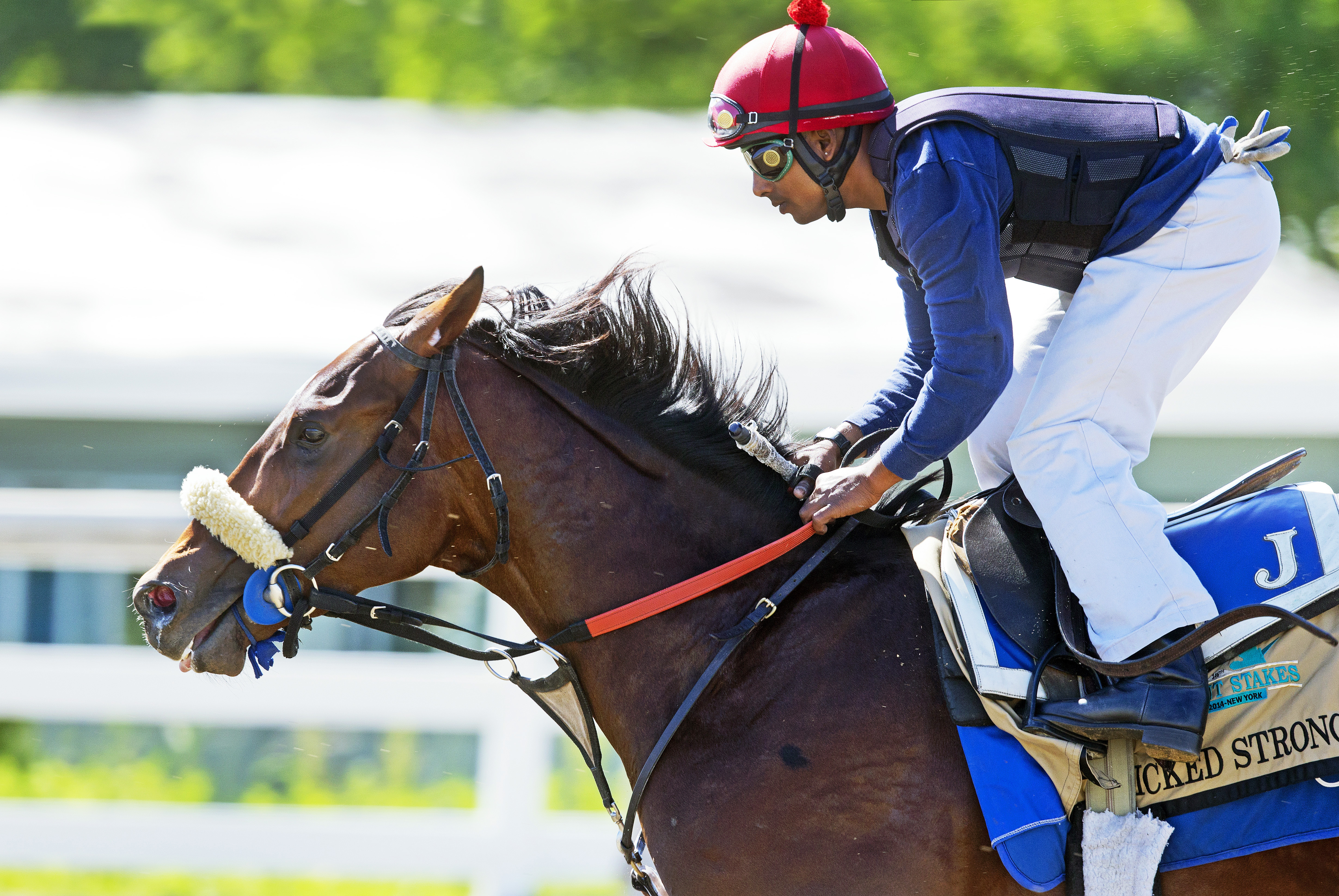 Wicked Strong at Belmont on June 1
