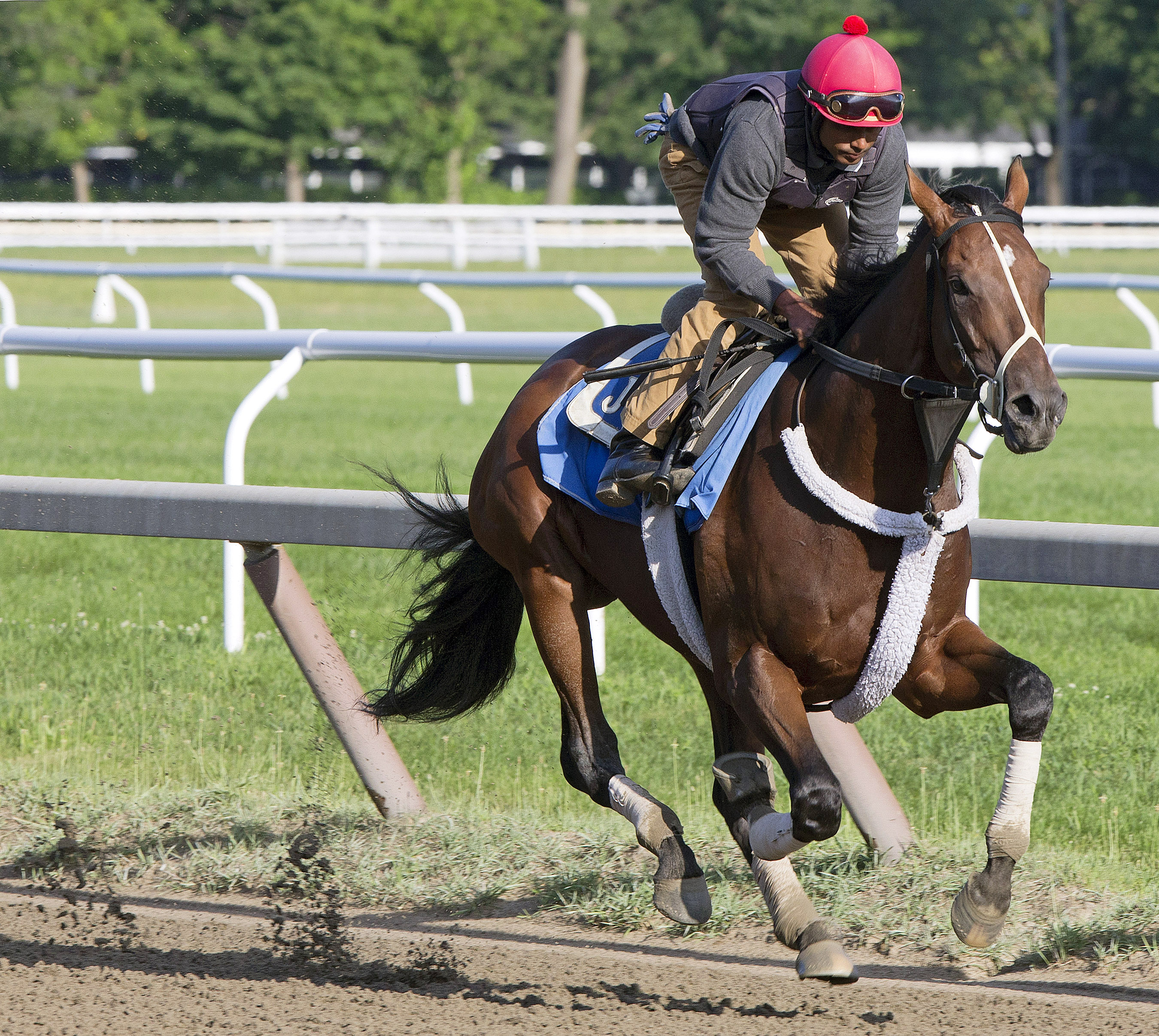 Wicked Strong trains at Saratoga on July 23